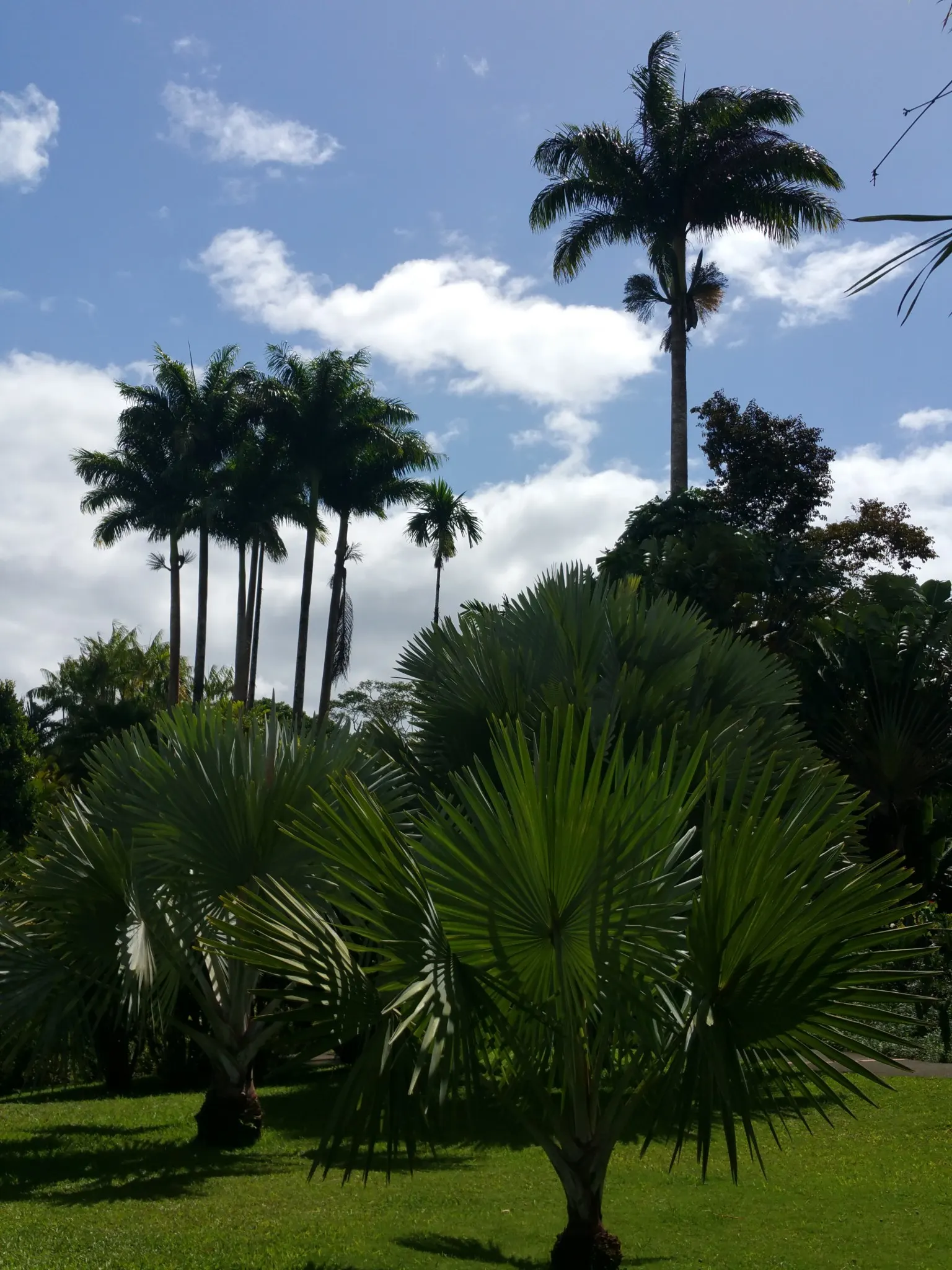 jardin balata