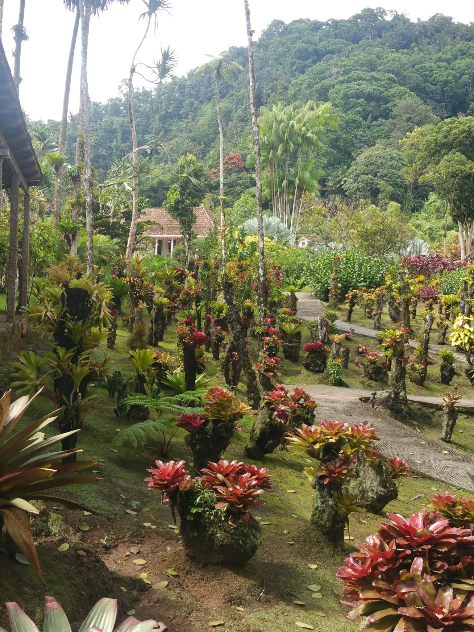 jardin balata