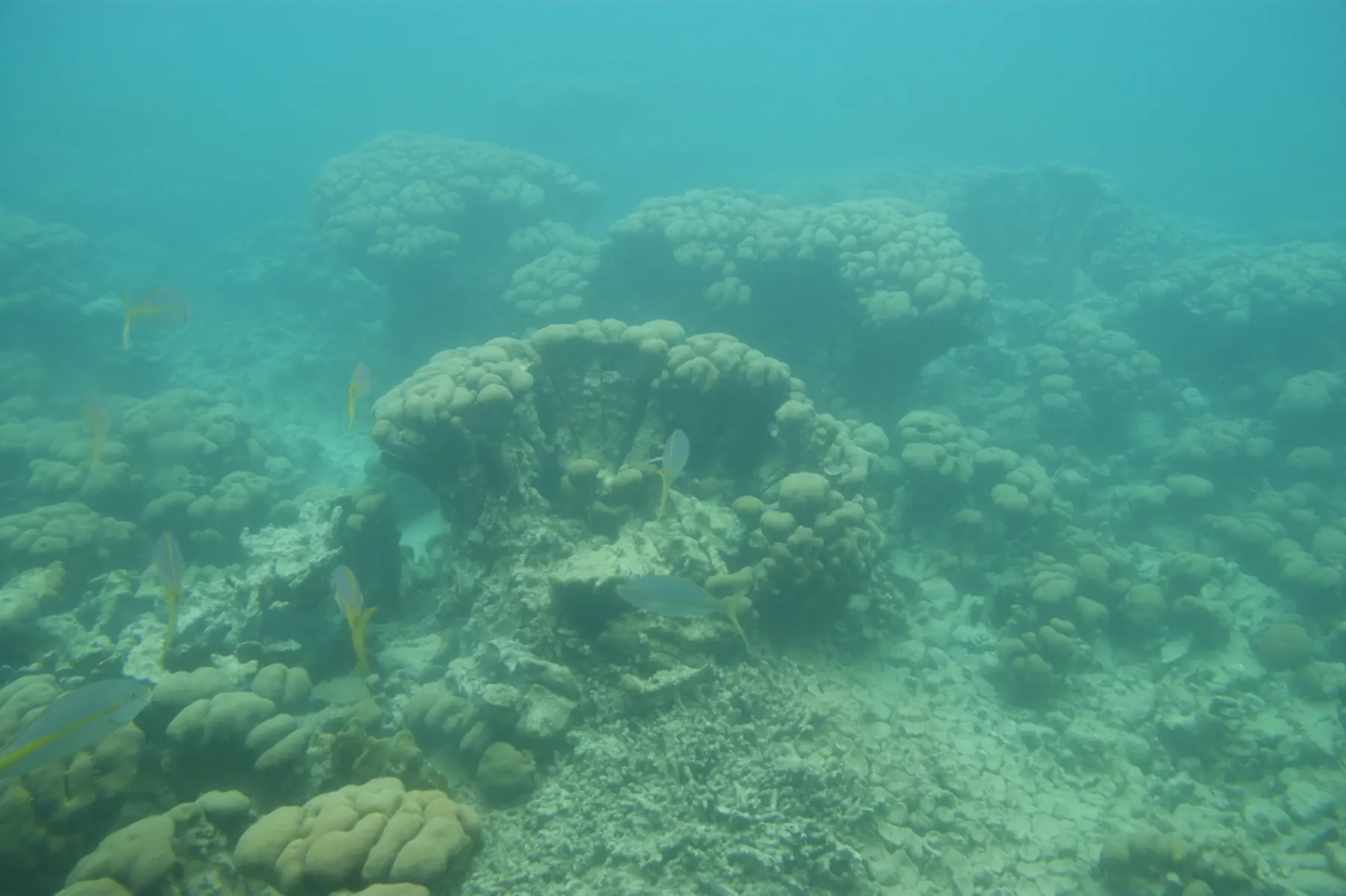 Aquabulle
