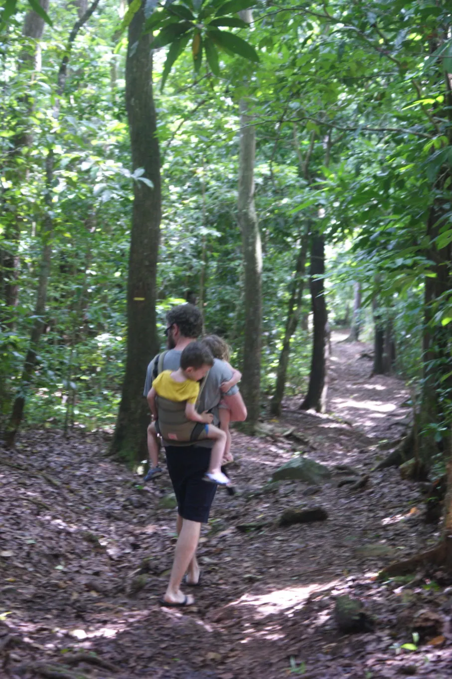 forêt montravail