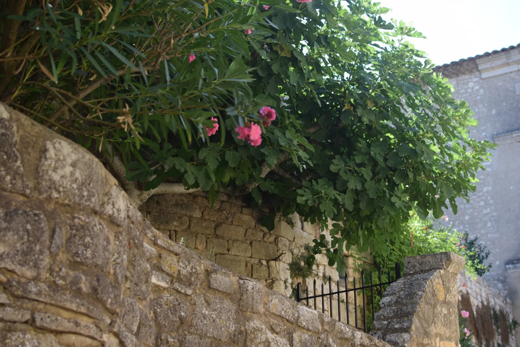 Village de Montclus, classé parmi les Plus Beaux Villages de France, avec ses ruelles pavées et maisons en pierre.