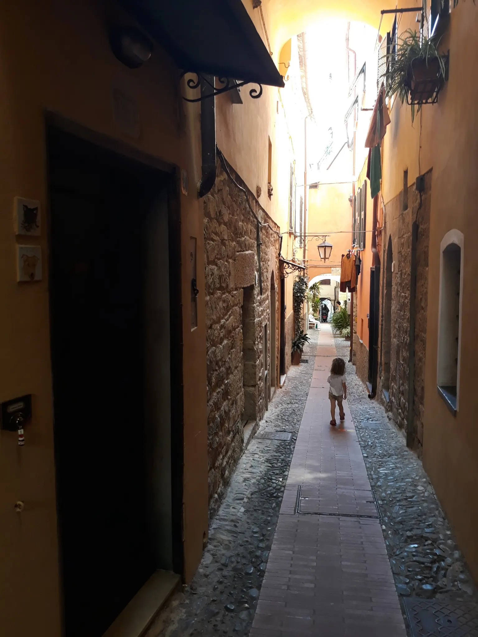 Cervo