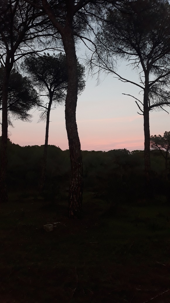 L'Andalousie