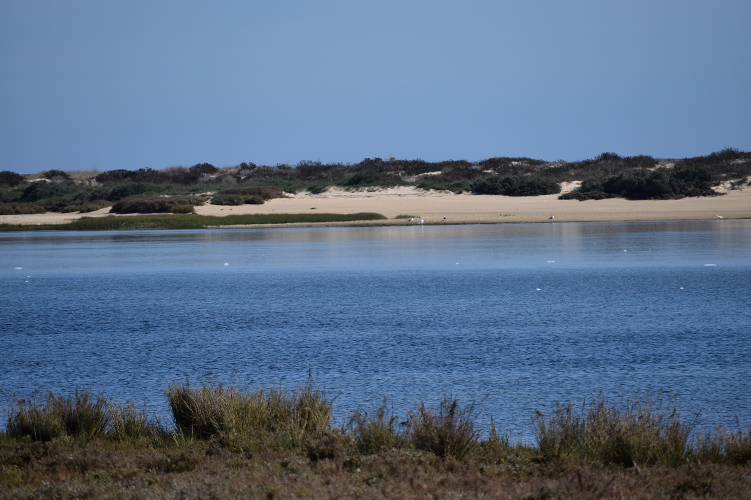 La lagune de Tavira