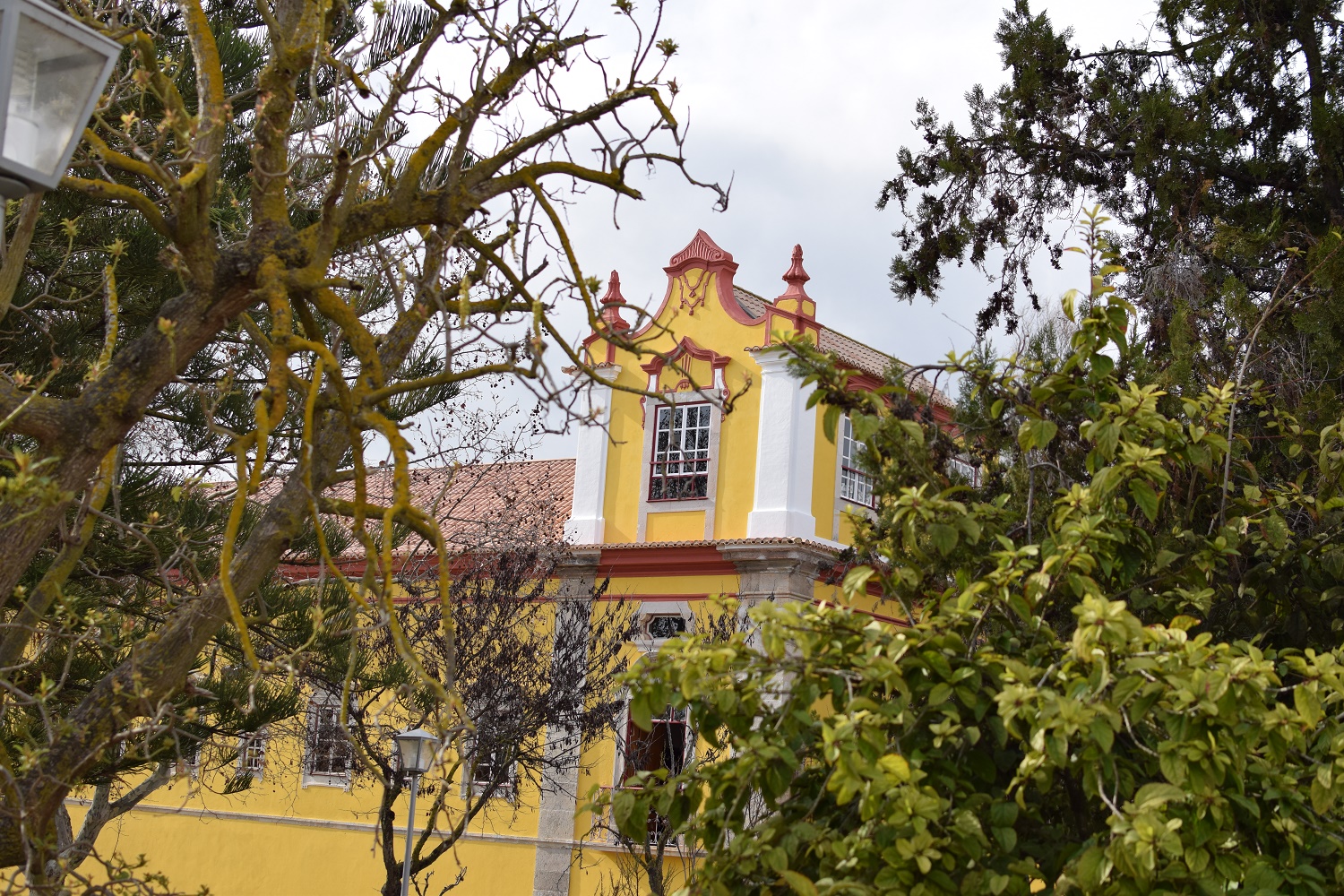 Tavira