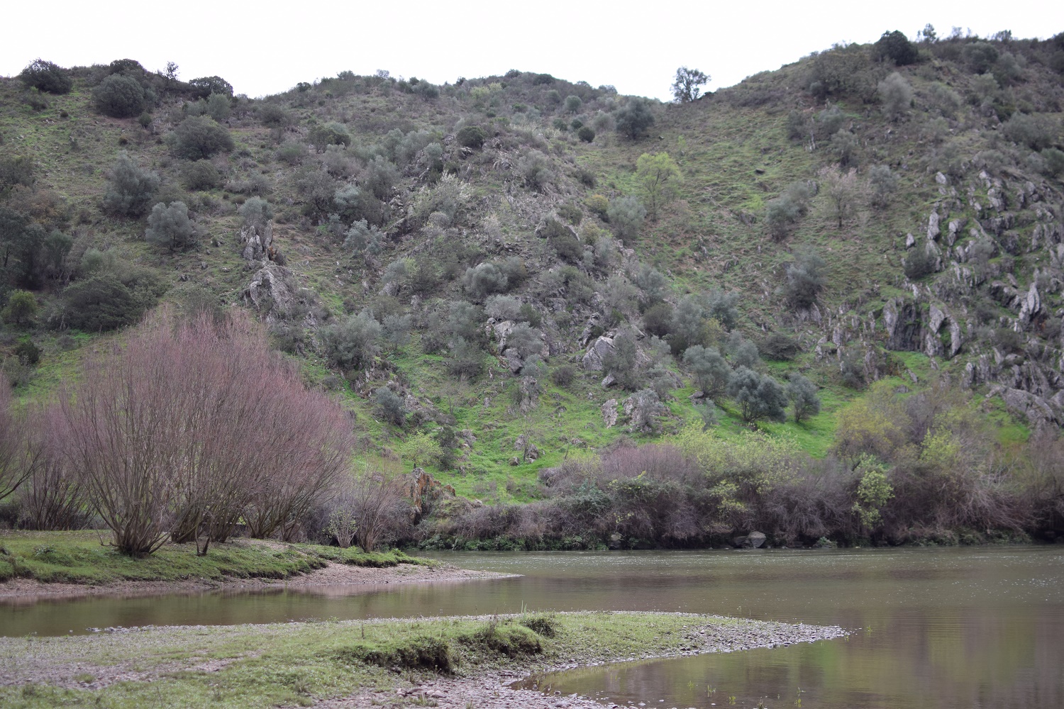 Alentejo - spot Mertola