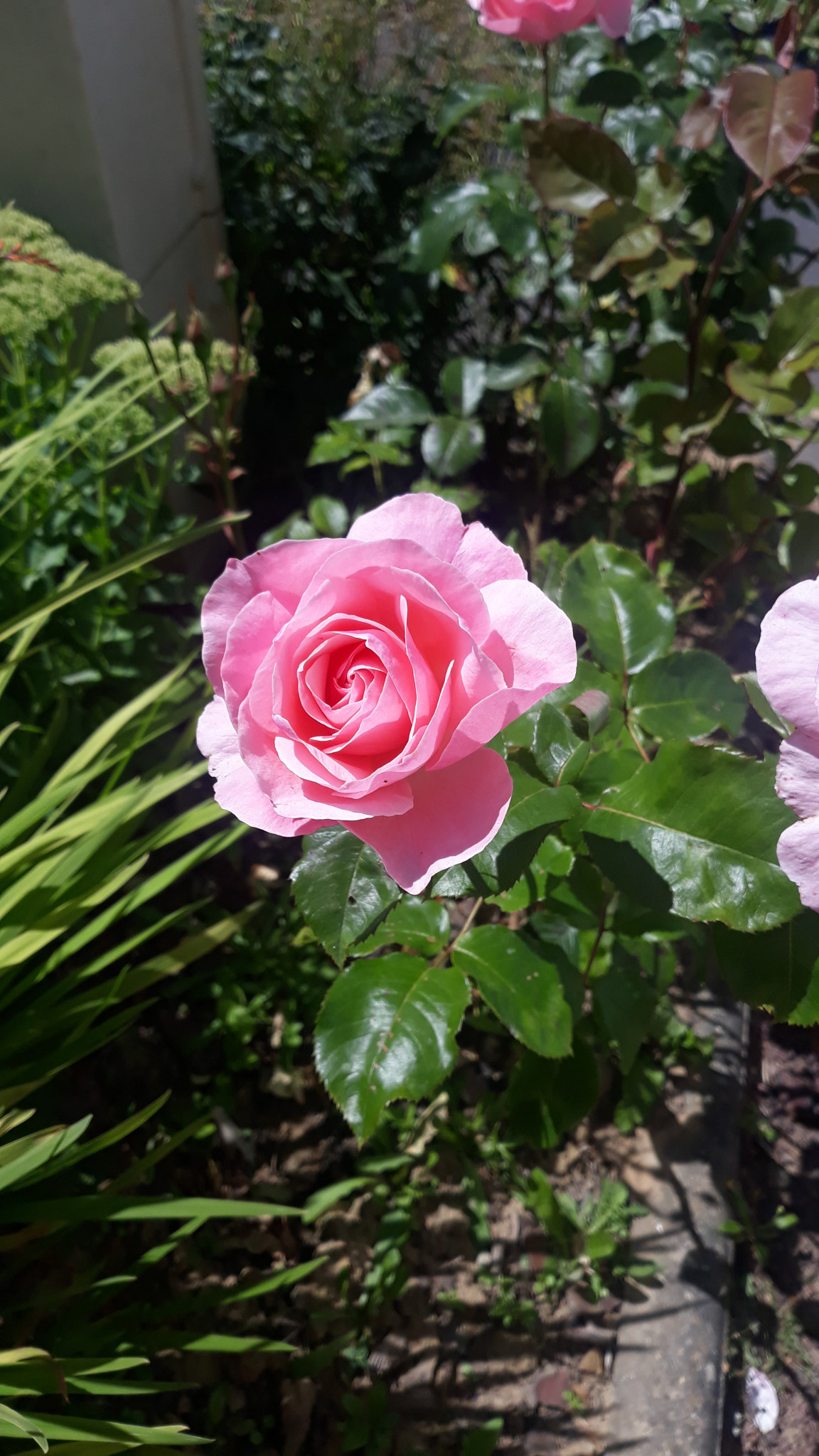 Retrouvailles familiales, un week-end convivial et inspirant.