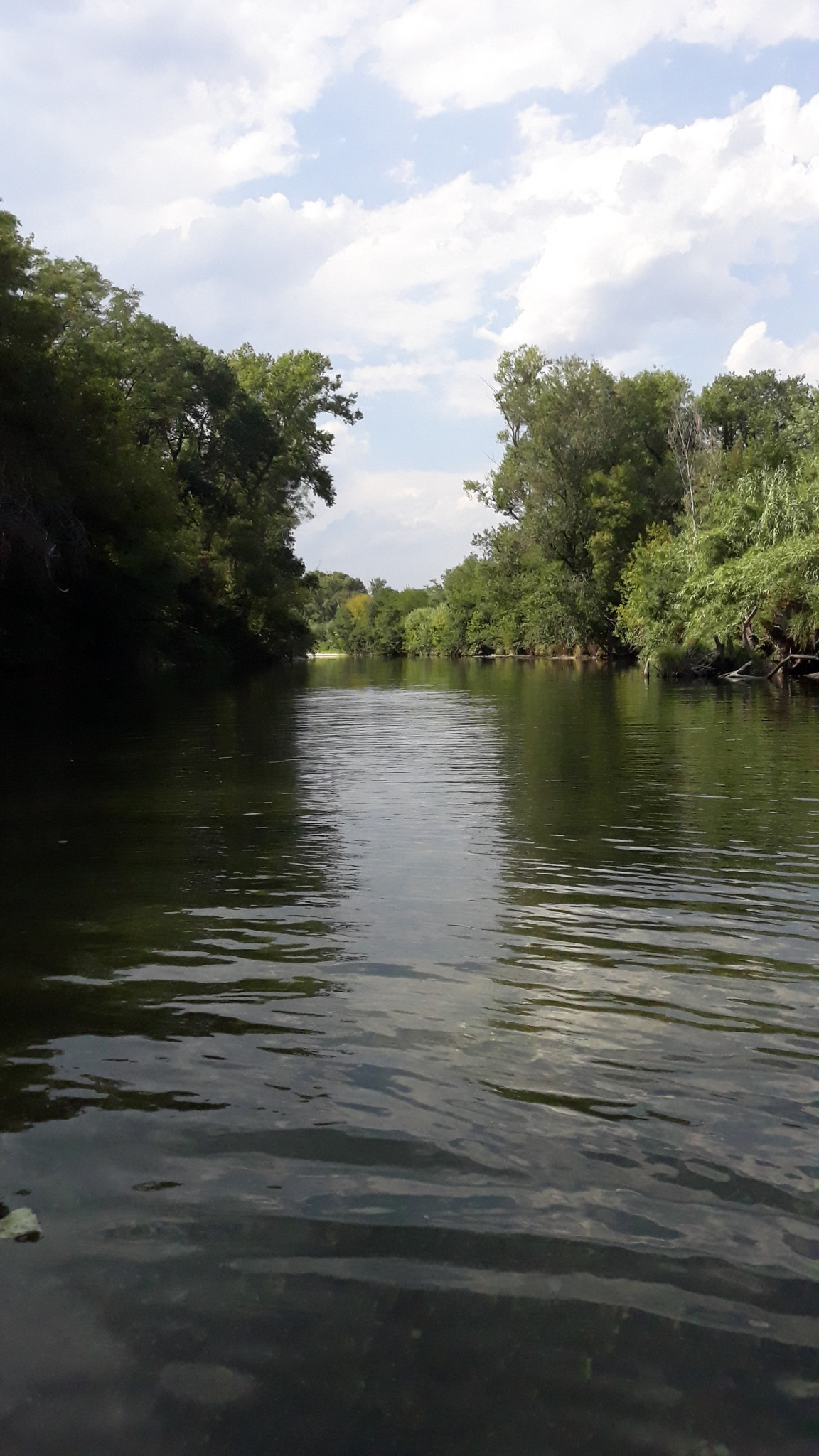 Un spot de rêve au bord de la Cèze près de Goudargues, parfait pour se détendre en famille.