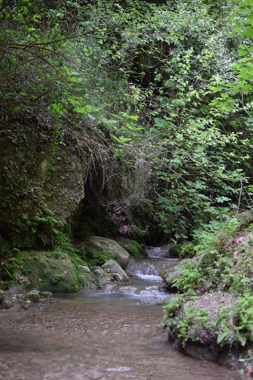 nature cascade