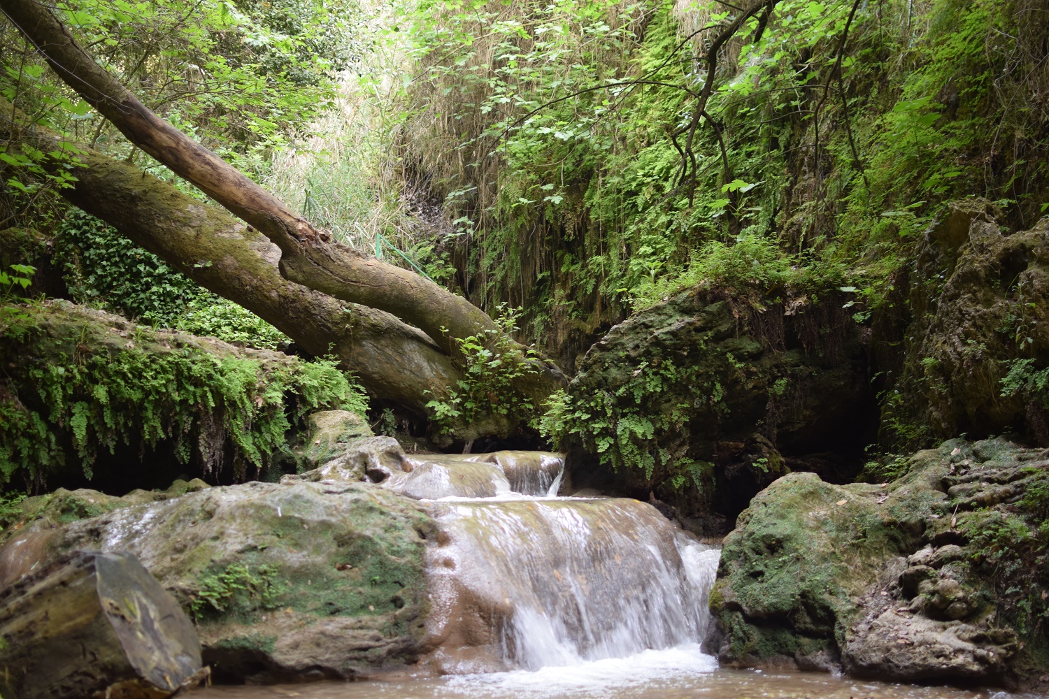 nature cascade