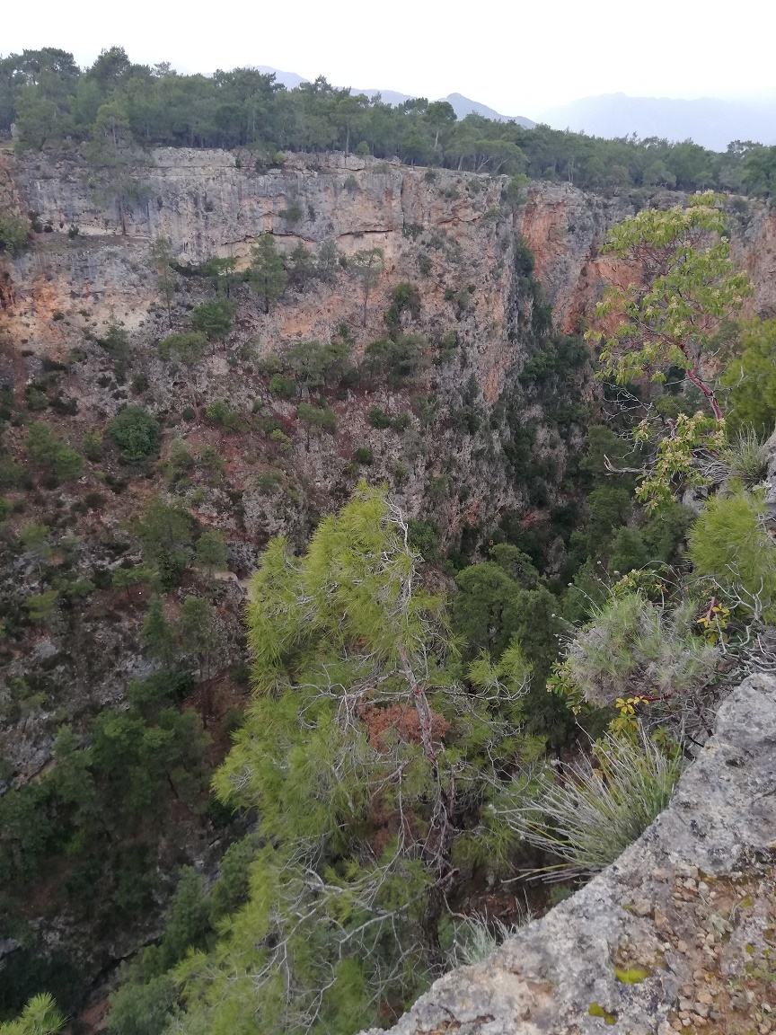 paysage retrouvailles