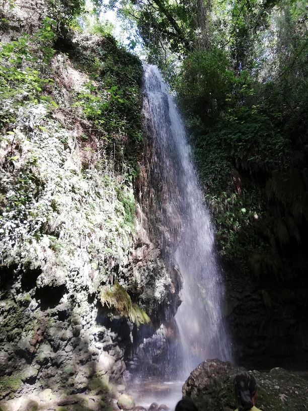 nature cascade