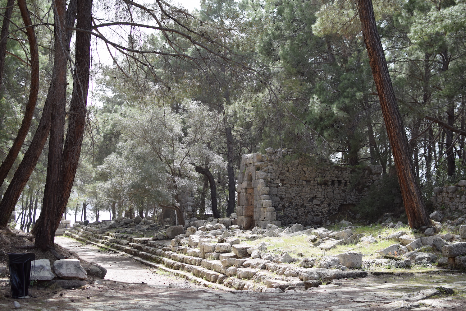 Visites Phasélis