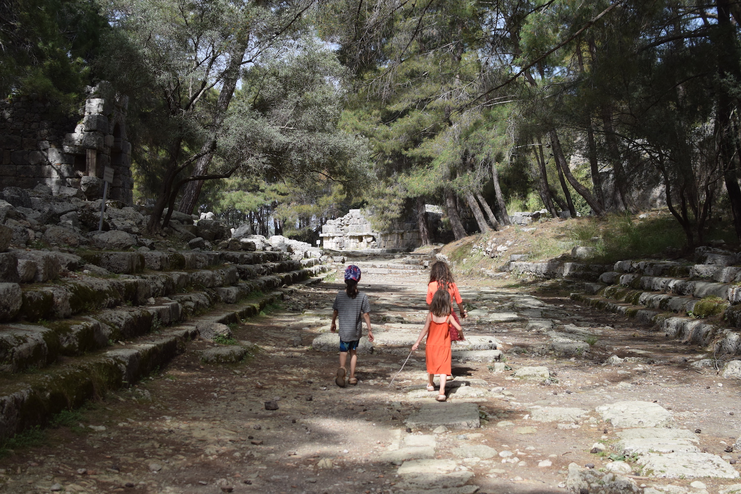 Visites Phasélis