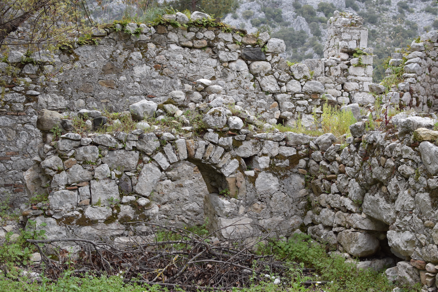 visites Olympos