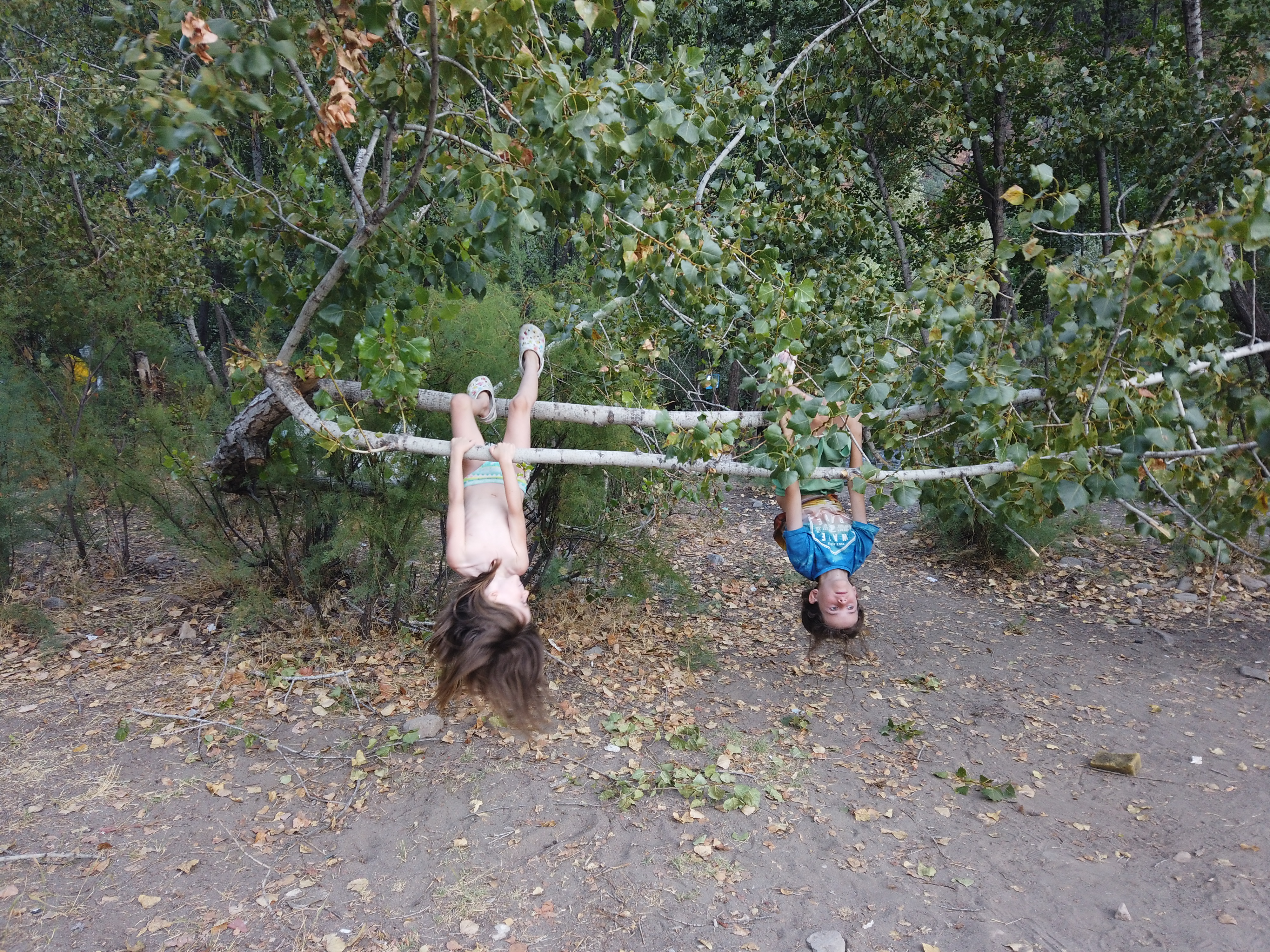 Parc naturel de Munzur