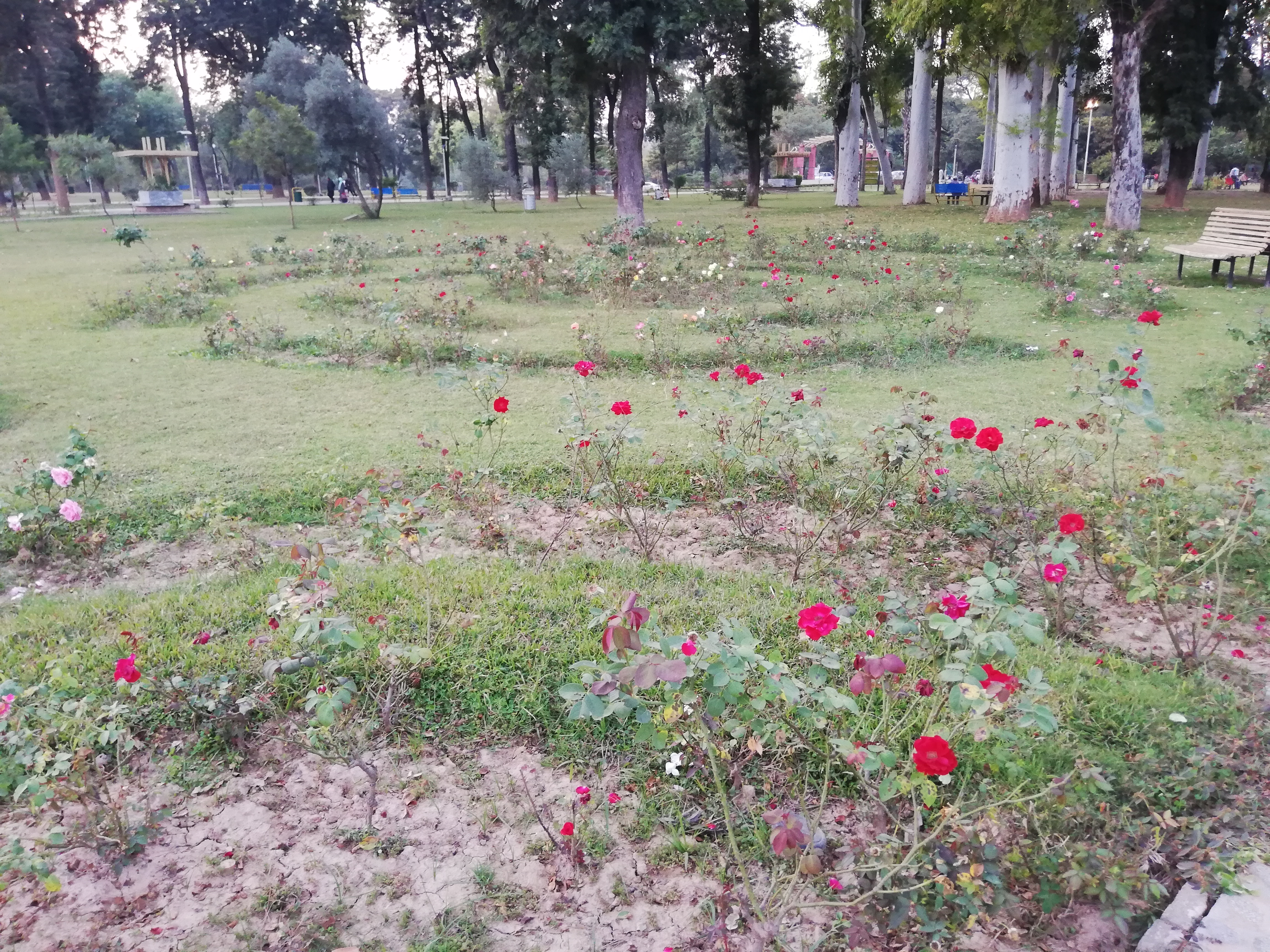 Islamabad