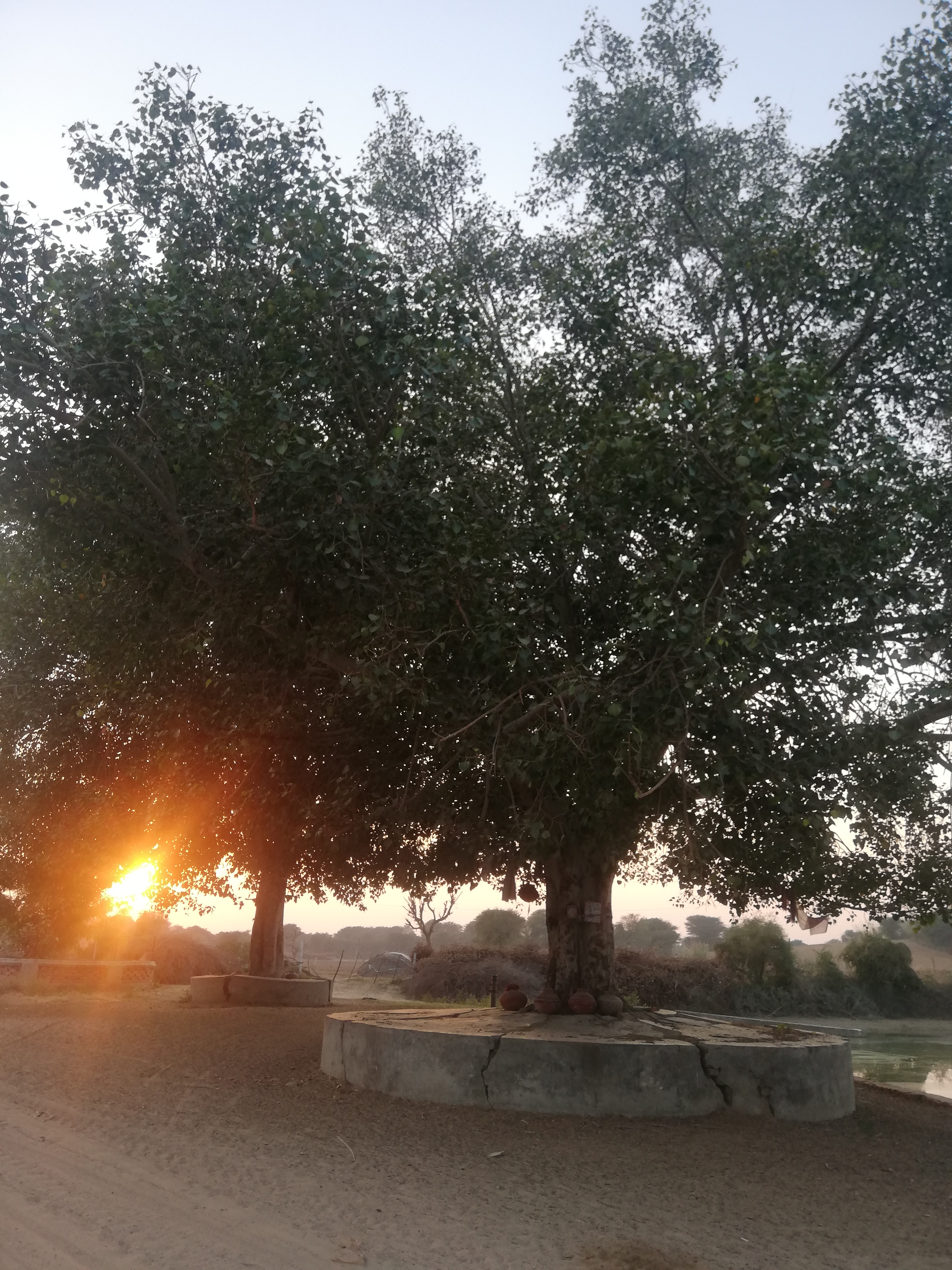 Rajasthan
