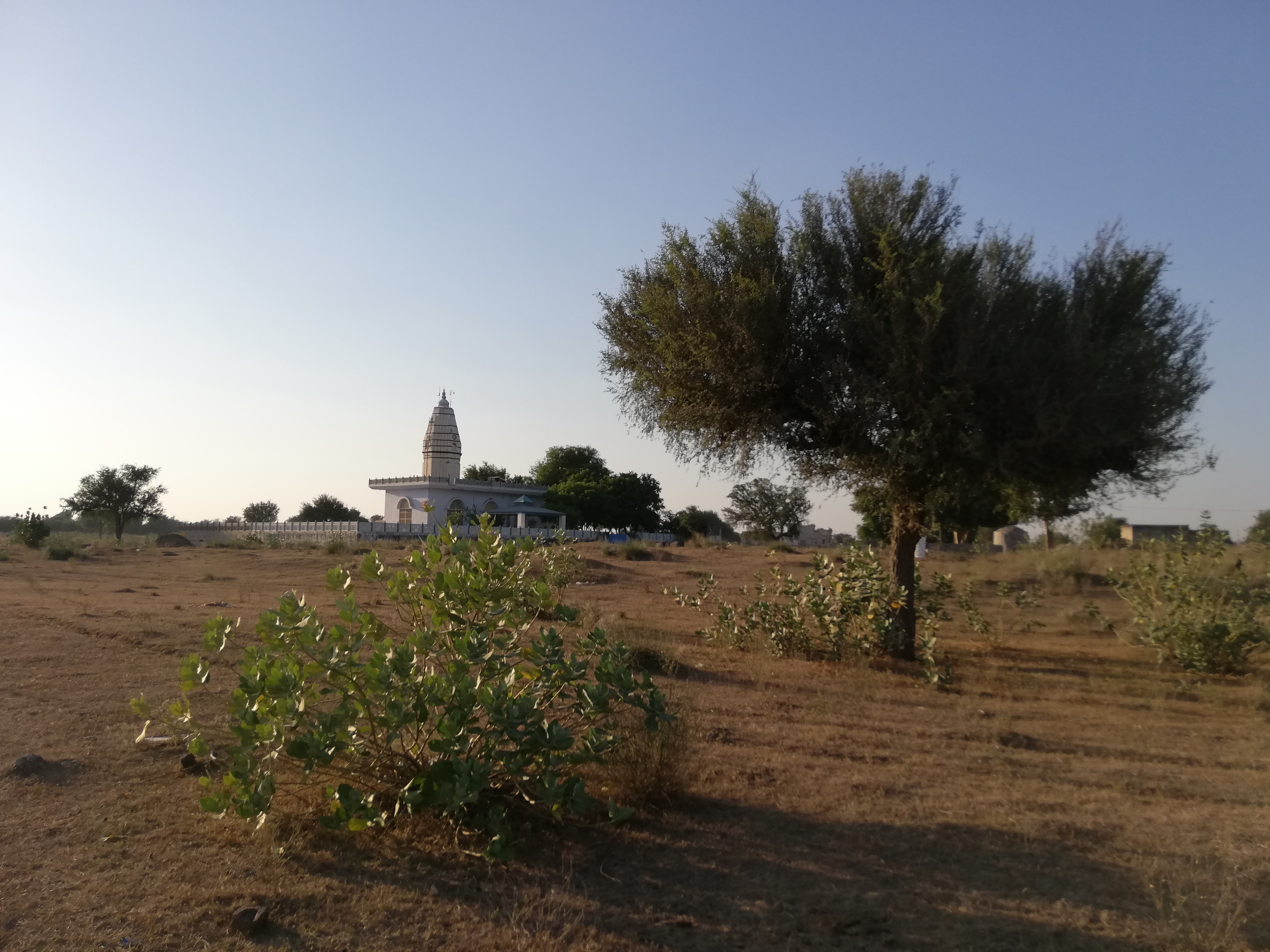 Rajasthan