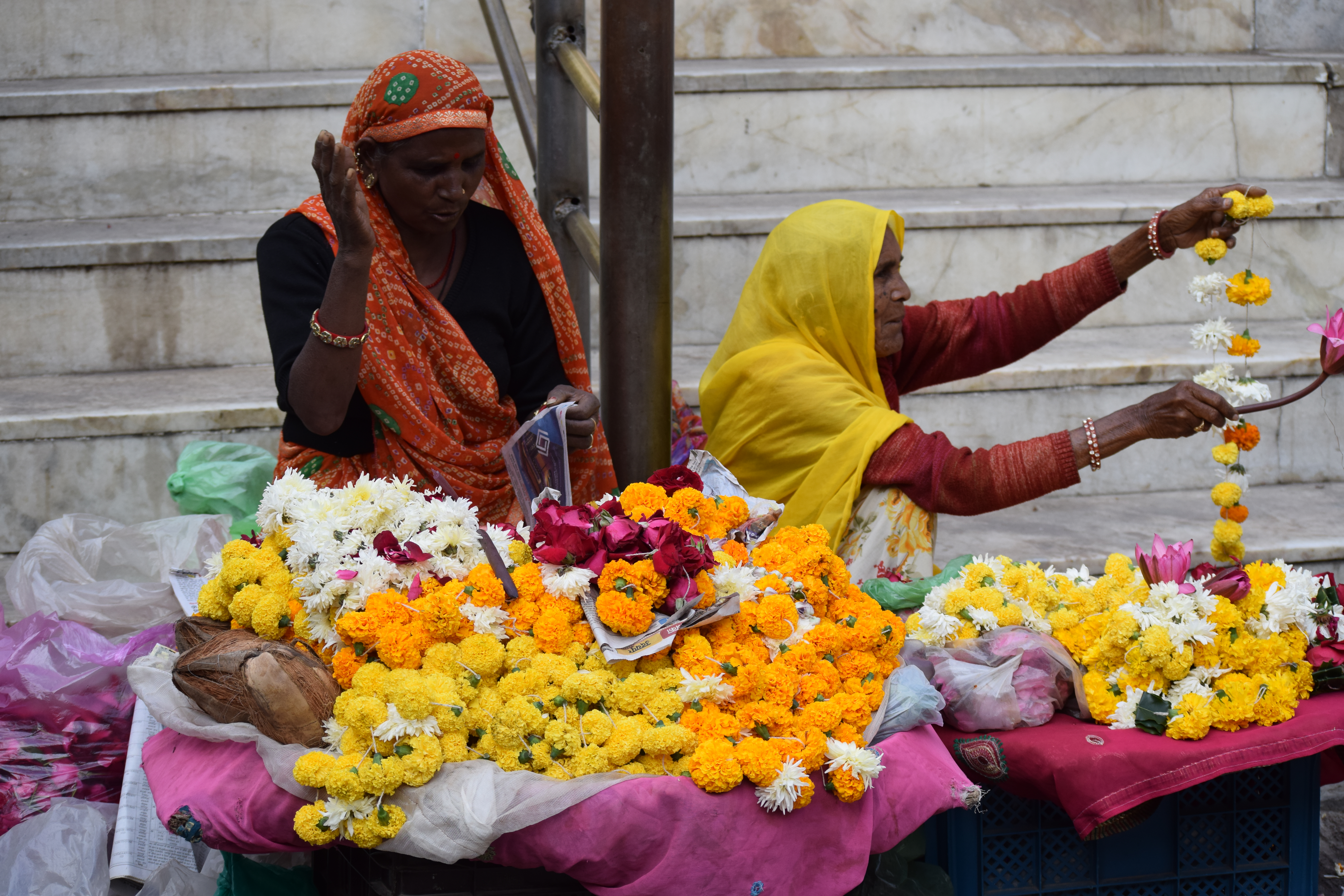 udaipur