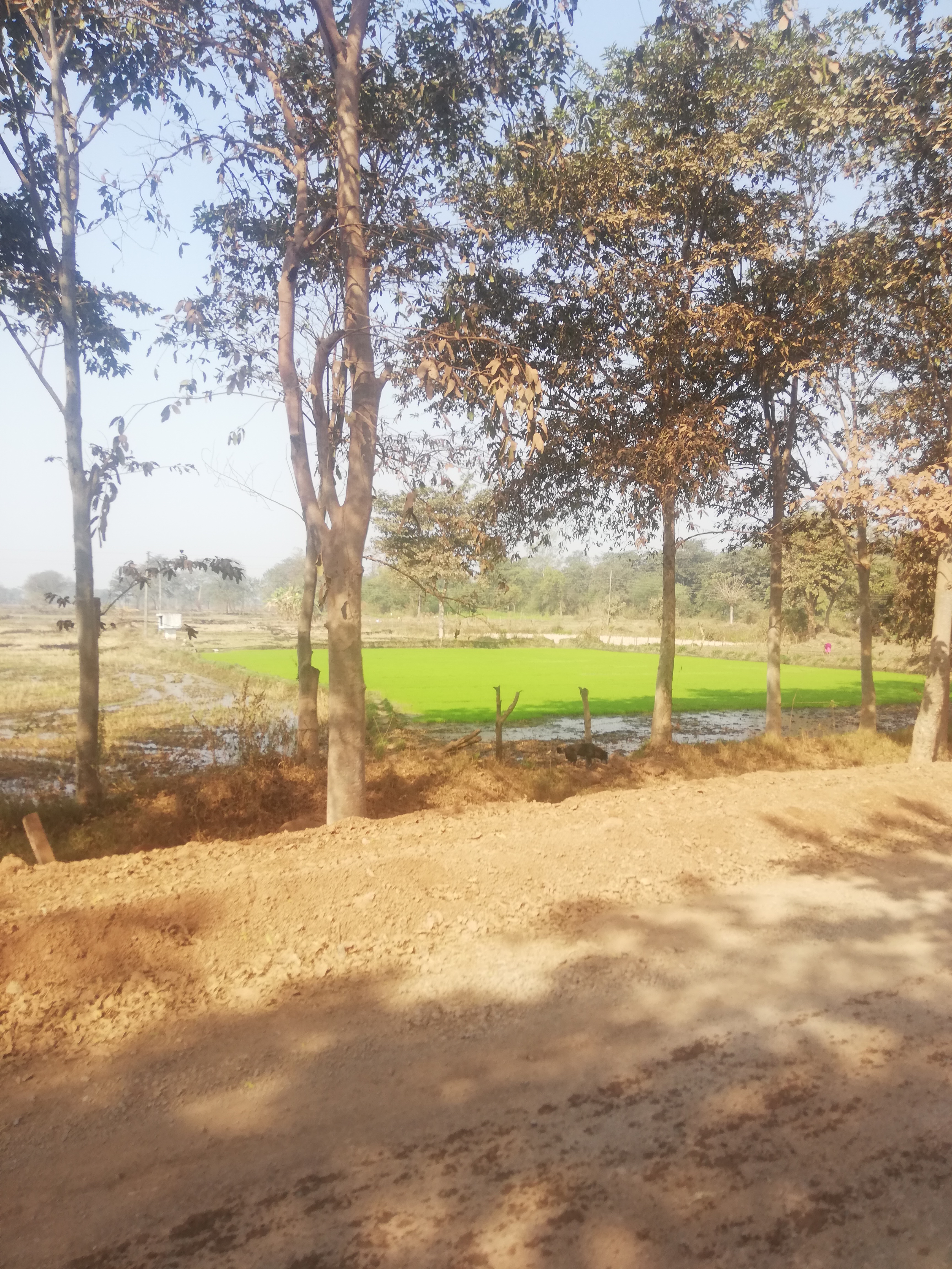 Golfe du Bengale
