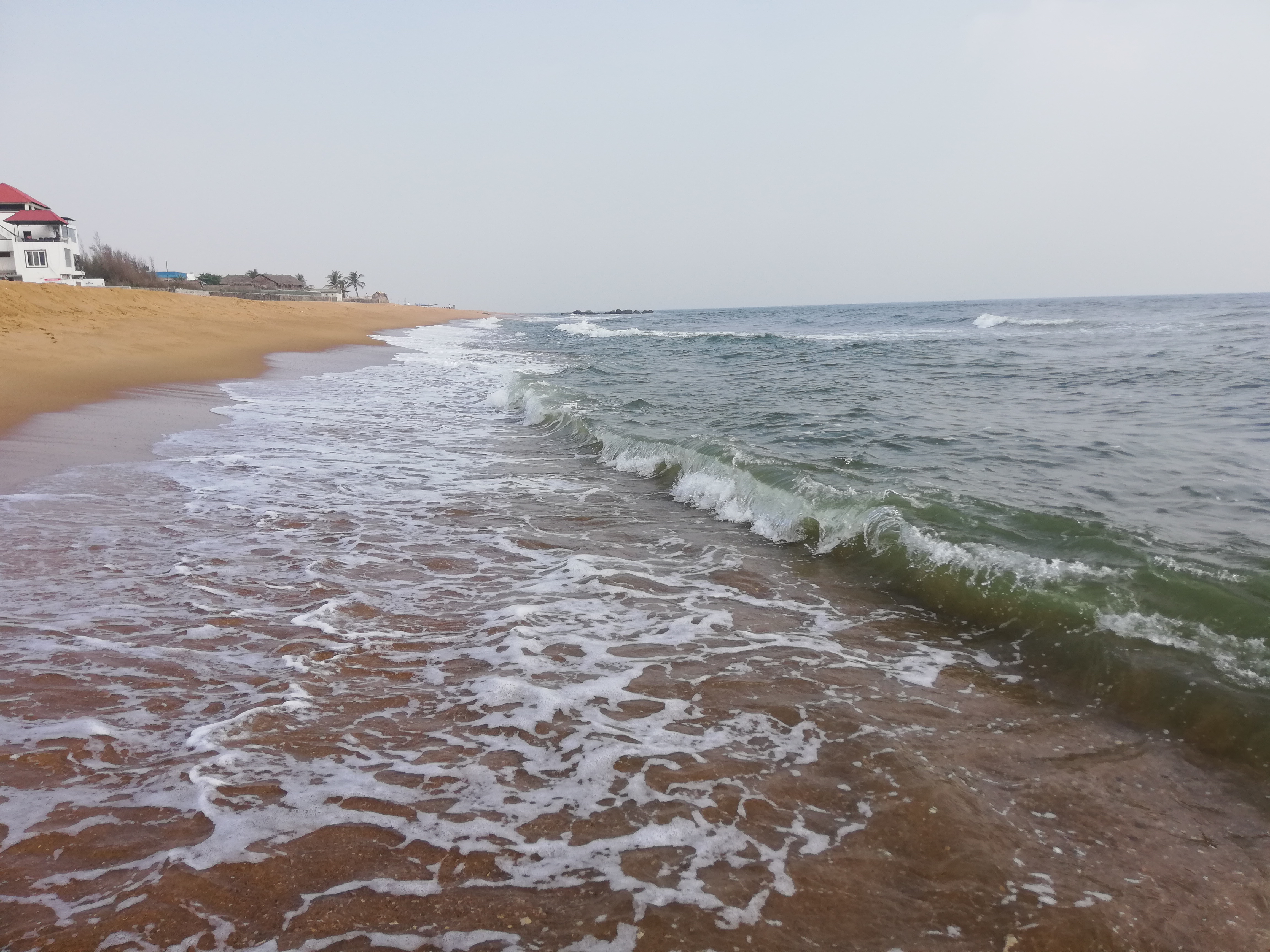 murthy
