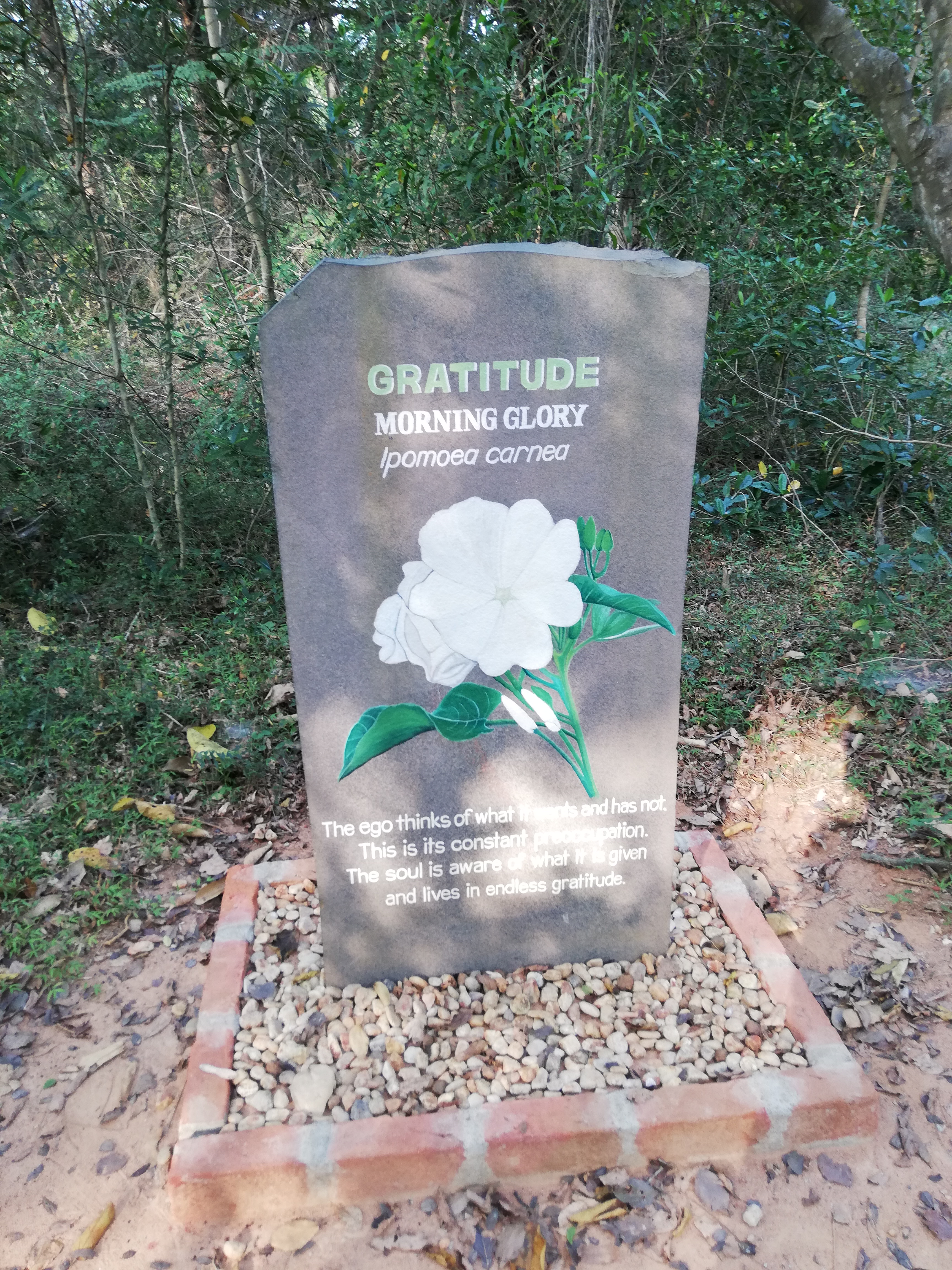 Auroville