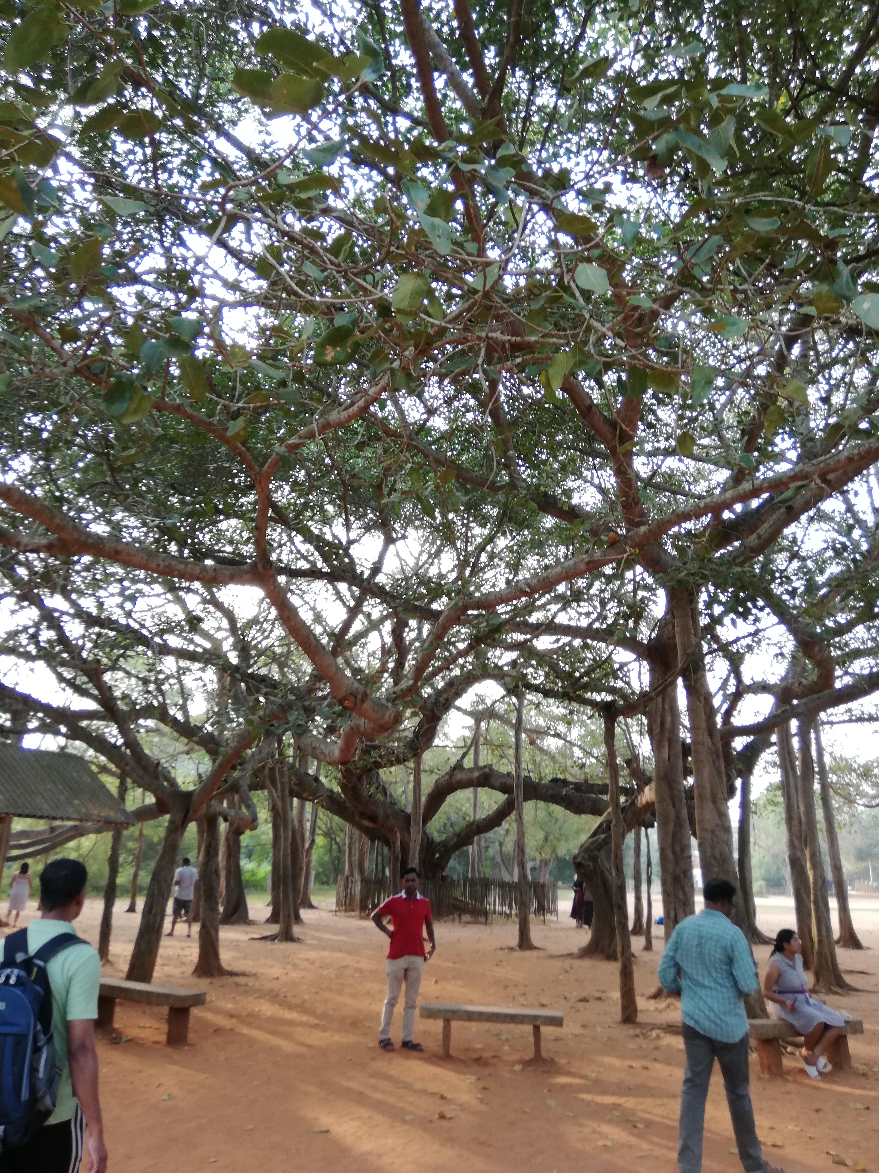 Auroville