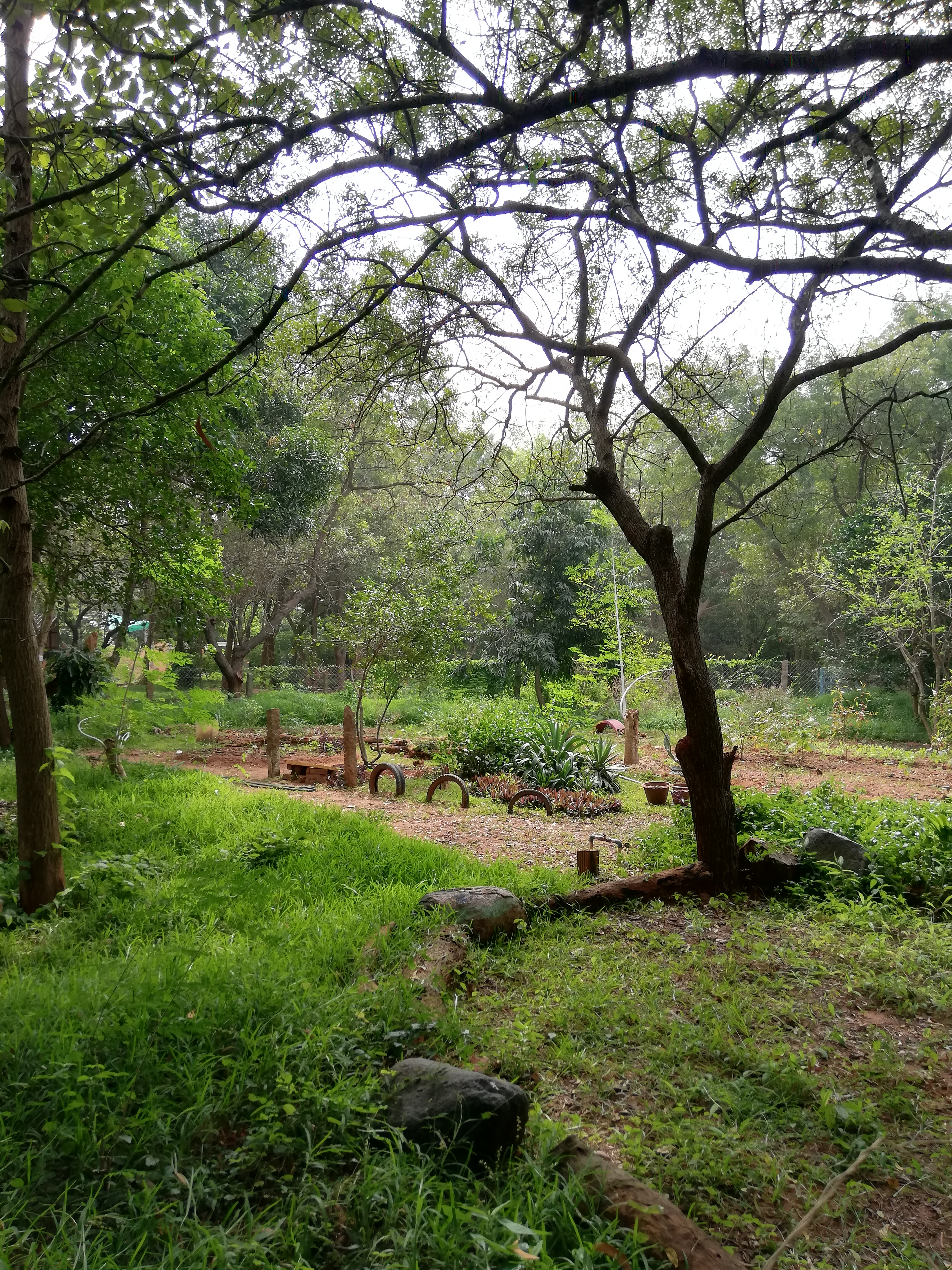Auroville