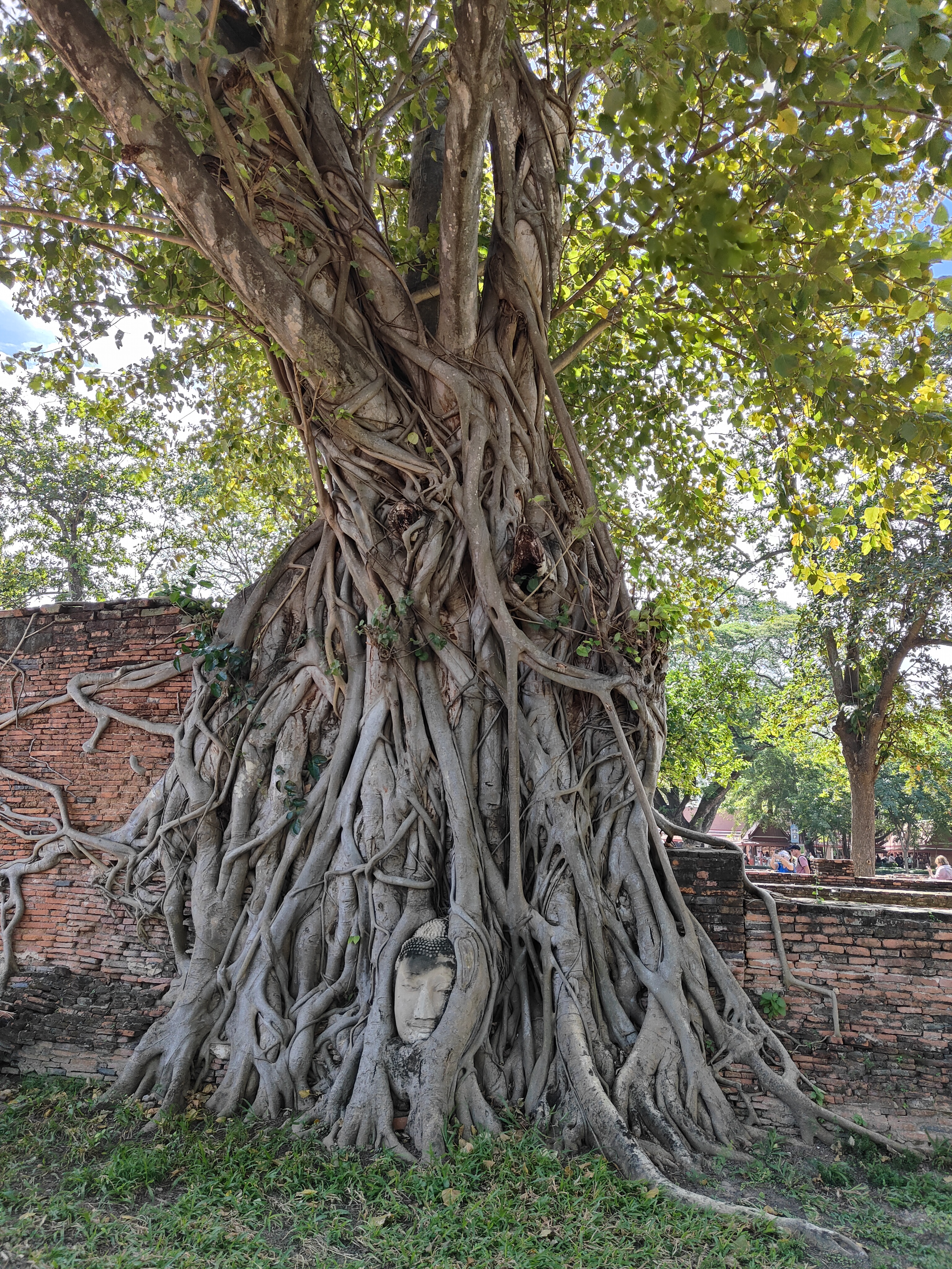 Wat Mahathat