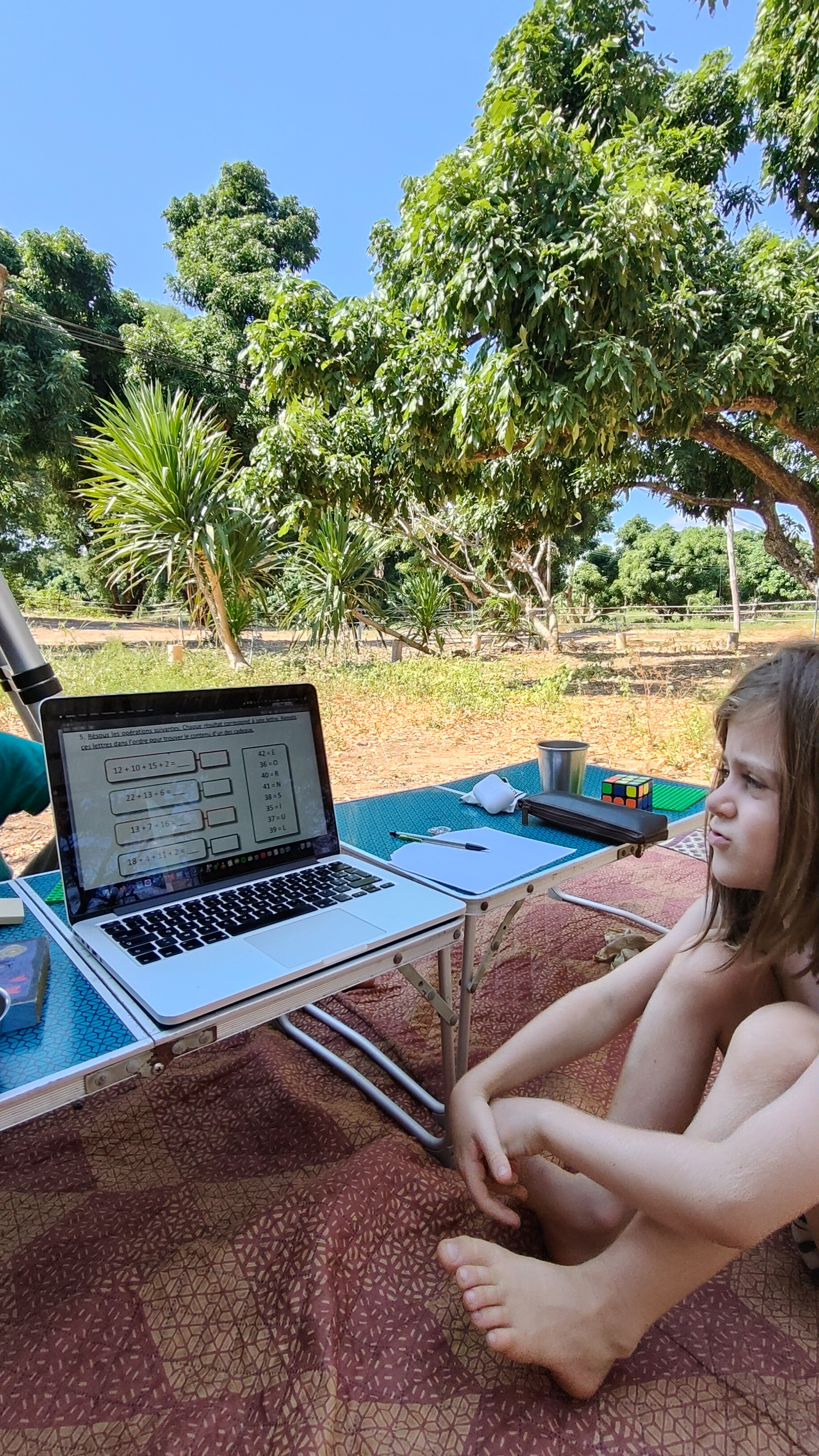 Cahiers de vacances de Noël