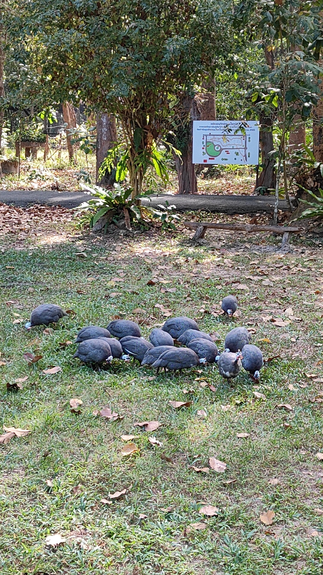 Jardin botanique
