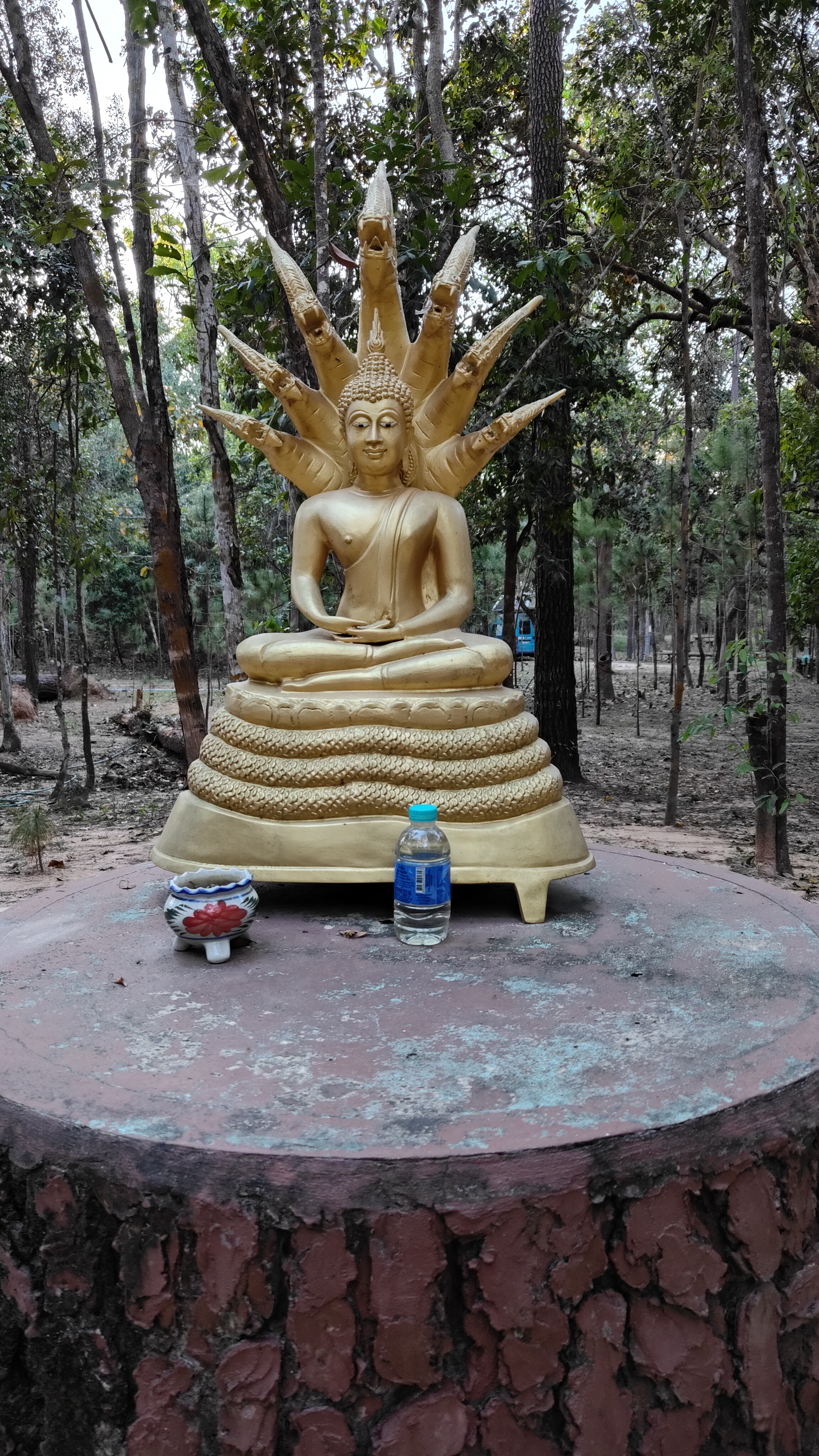 Pa Son Nong Khu Forest Park