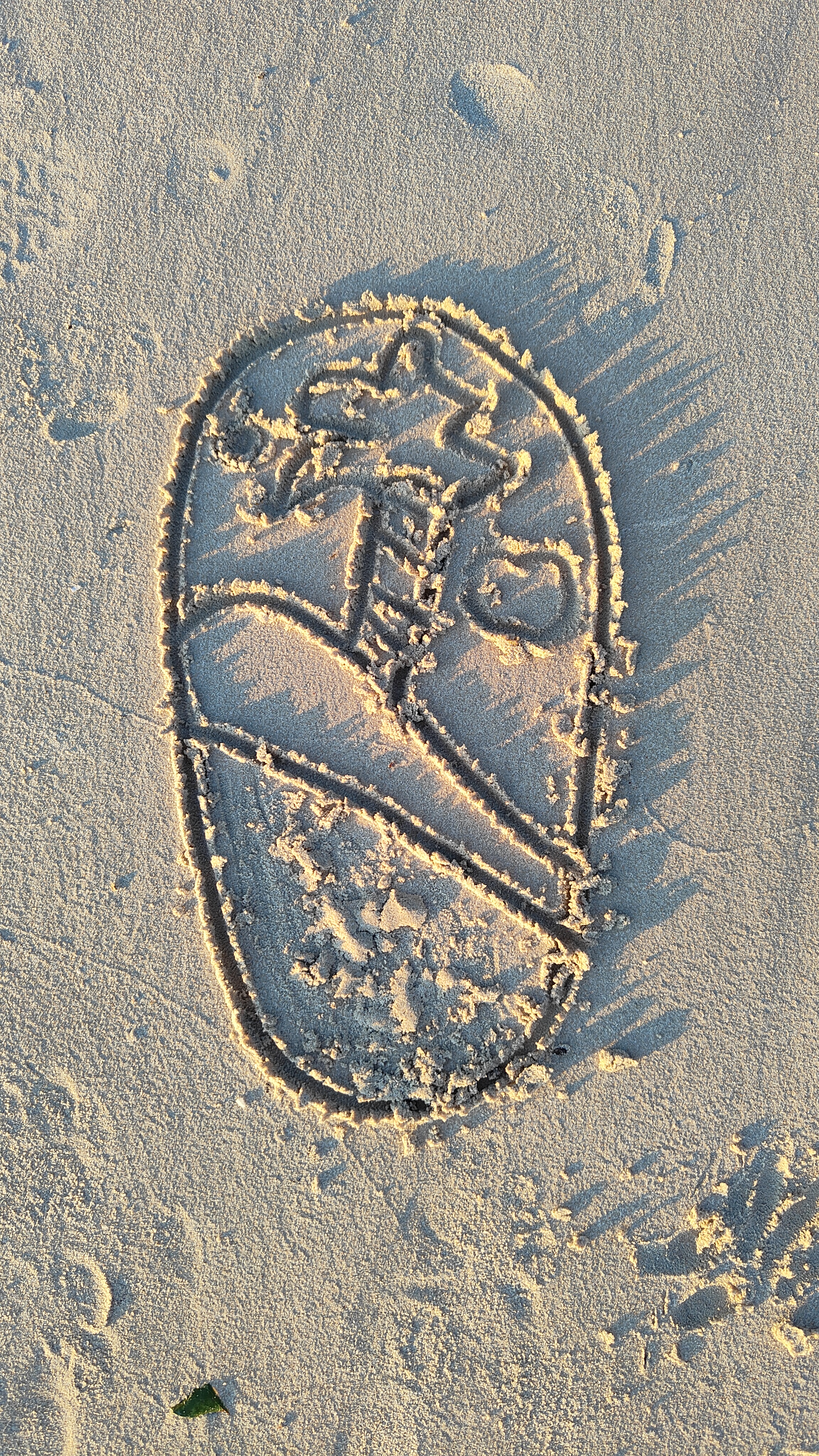 Long beach