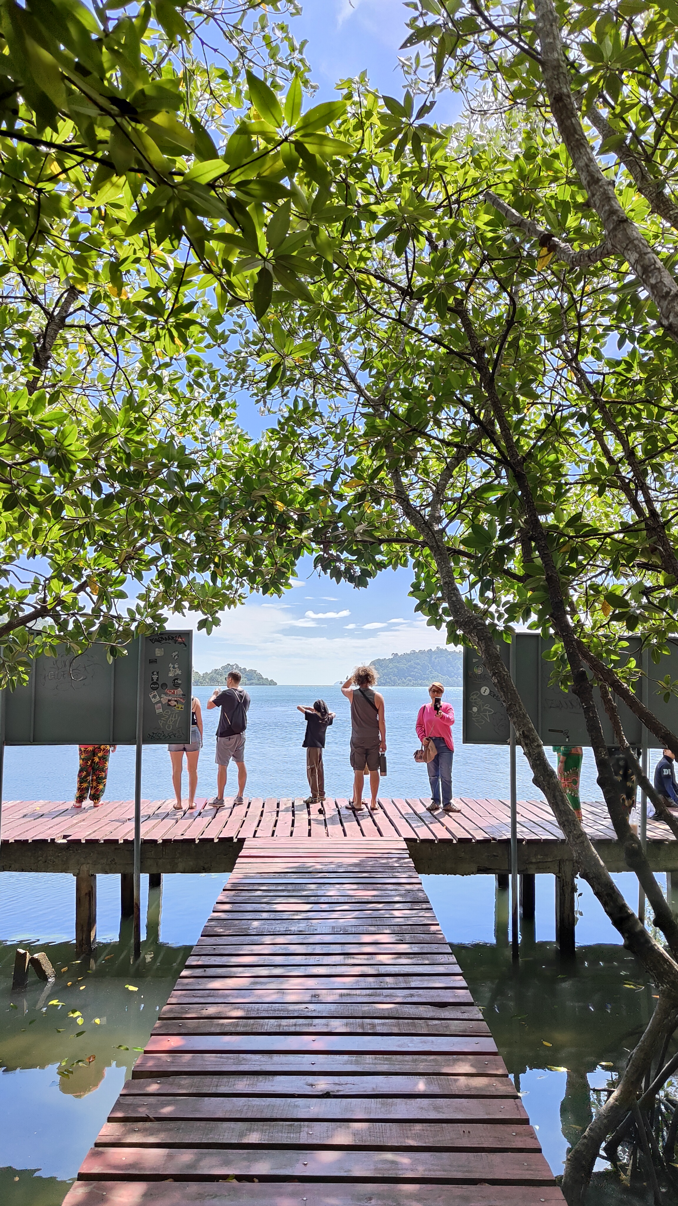 forêt de mangrove Baan Na Nai