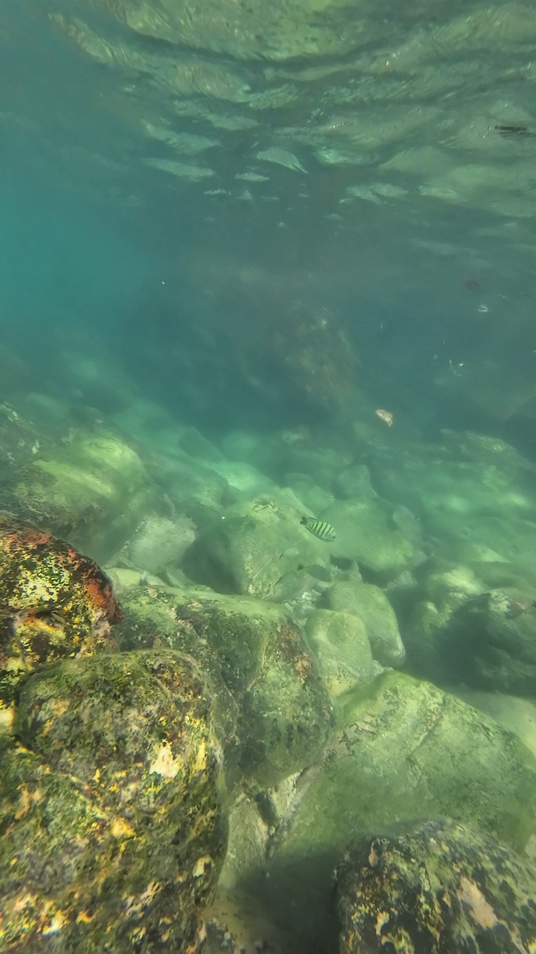 snorkeling
