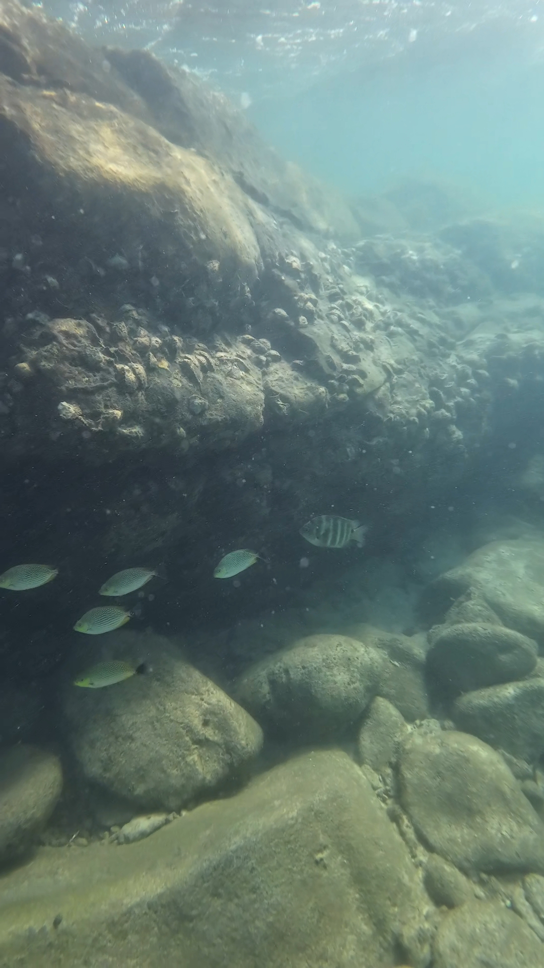 snorkeling