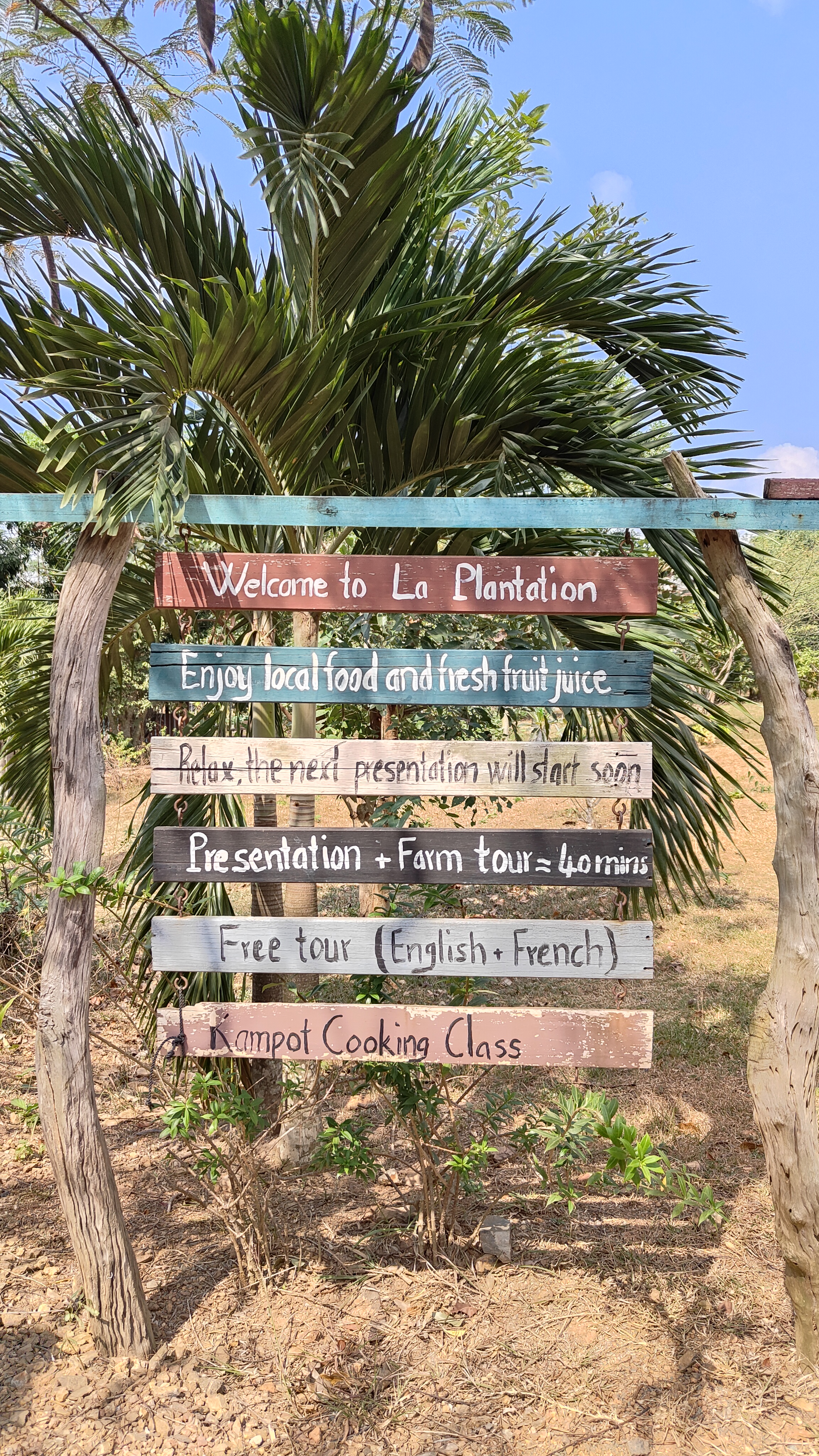 la plantation
