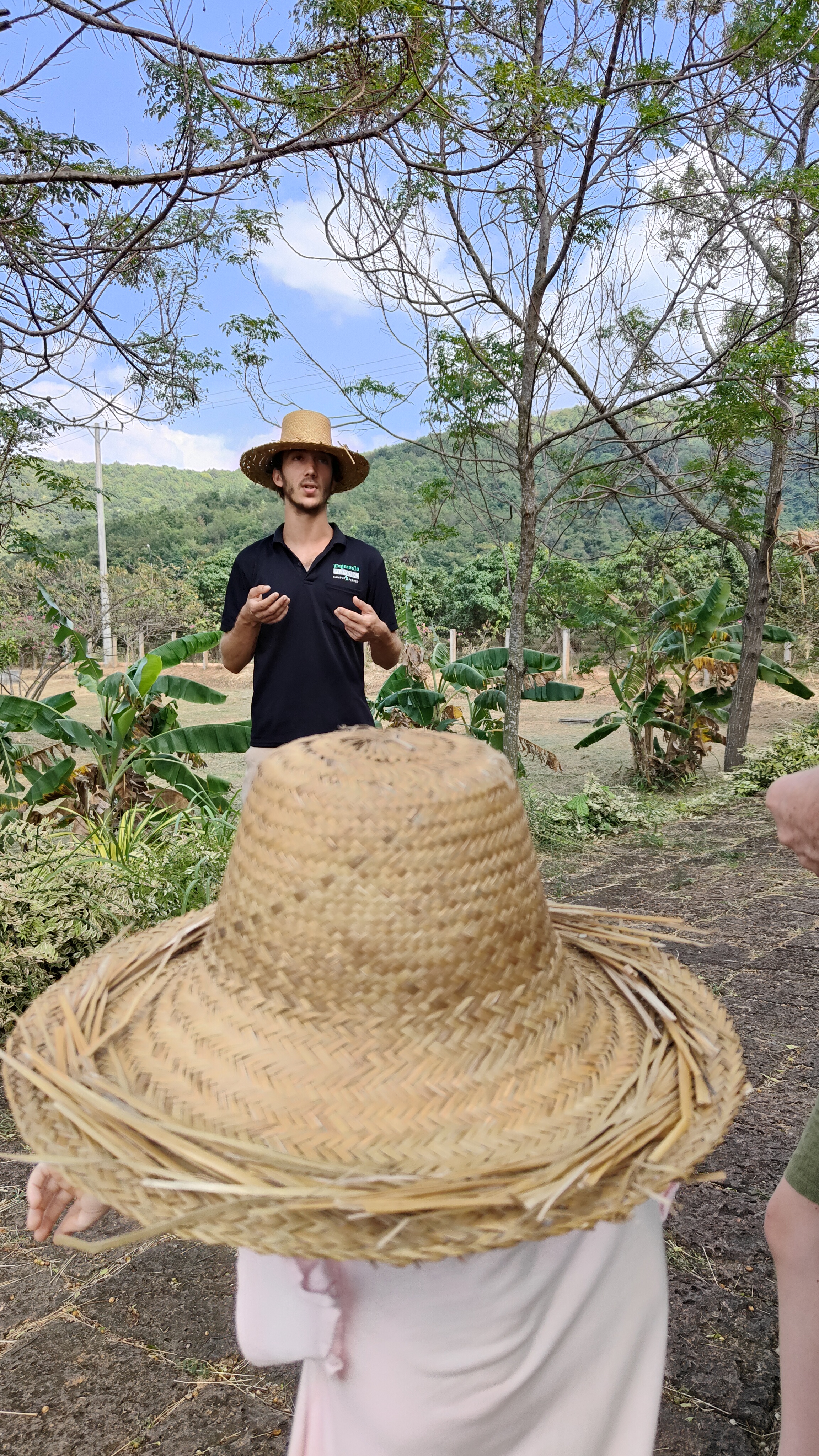 la plantation