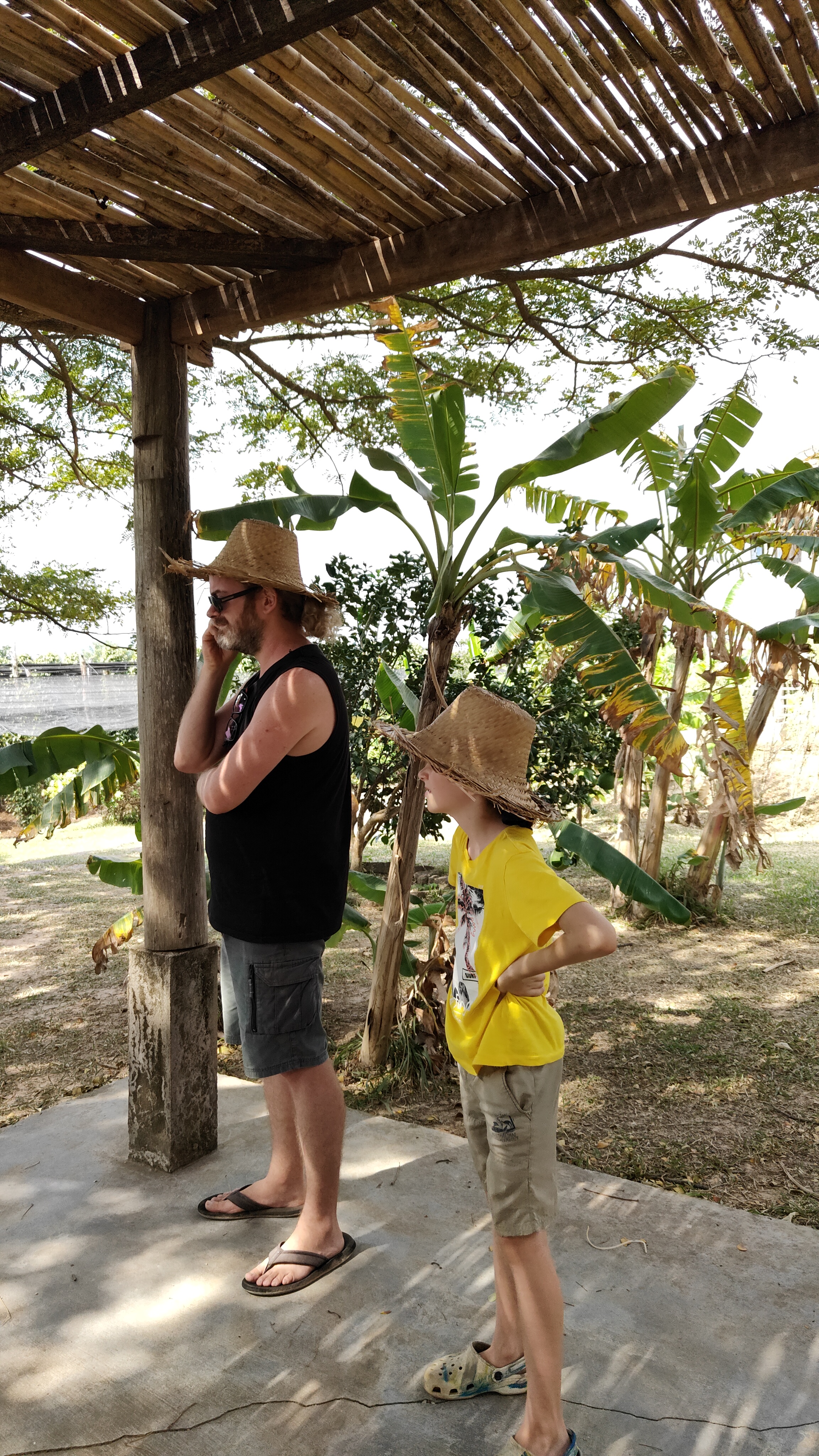 la plantation