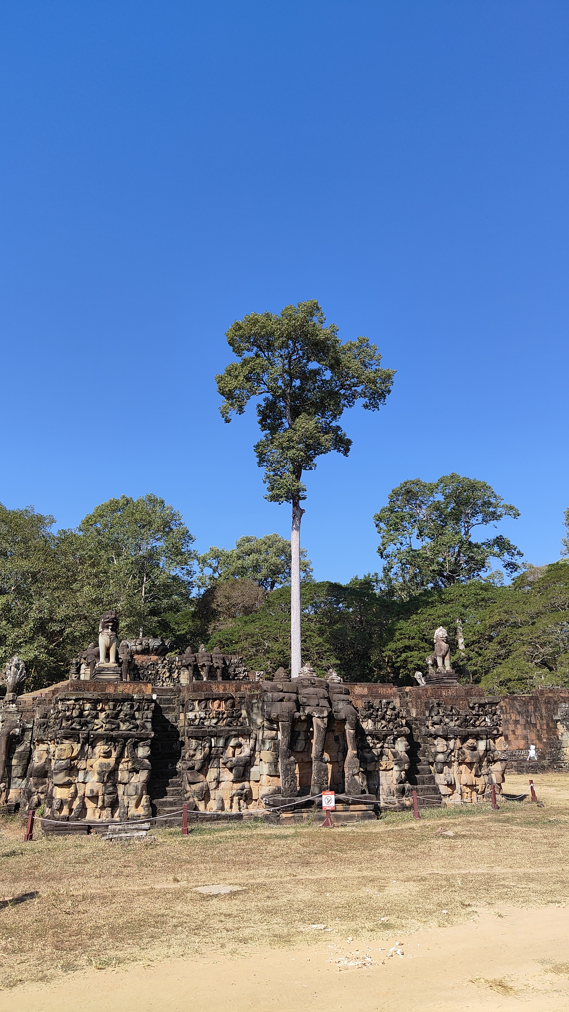 Terrasse des éléphants