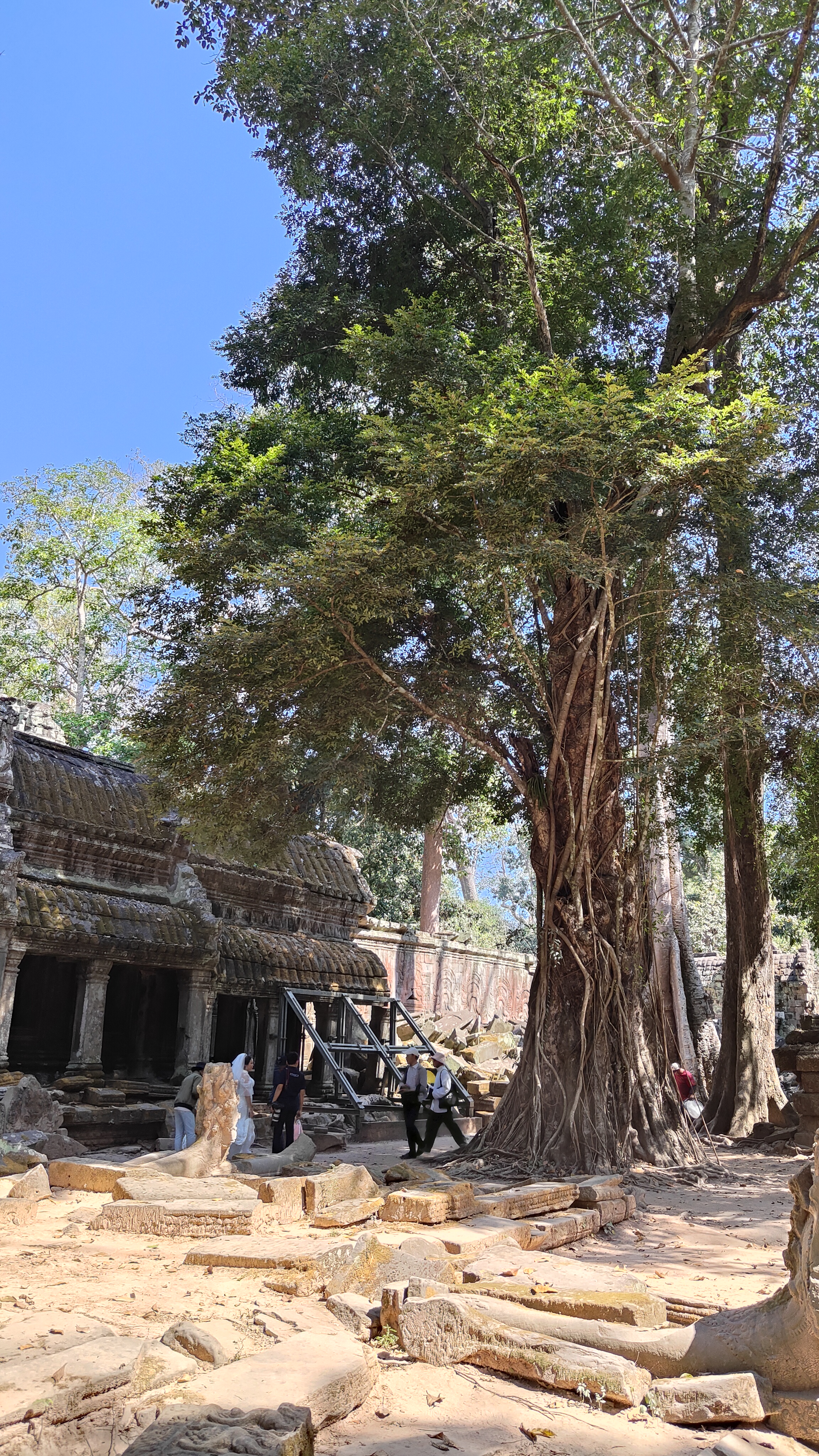 Ta prohm
