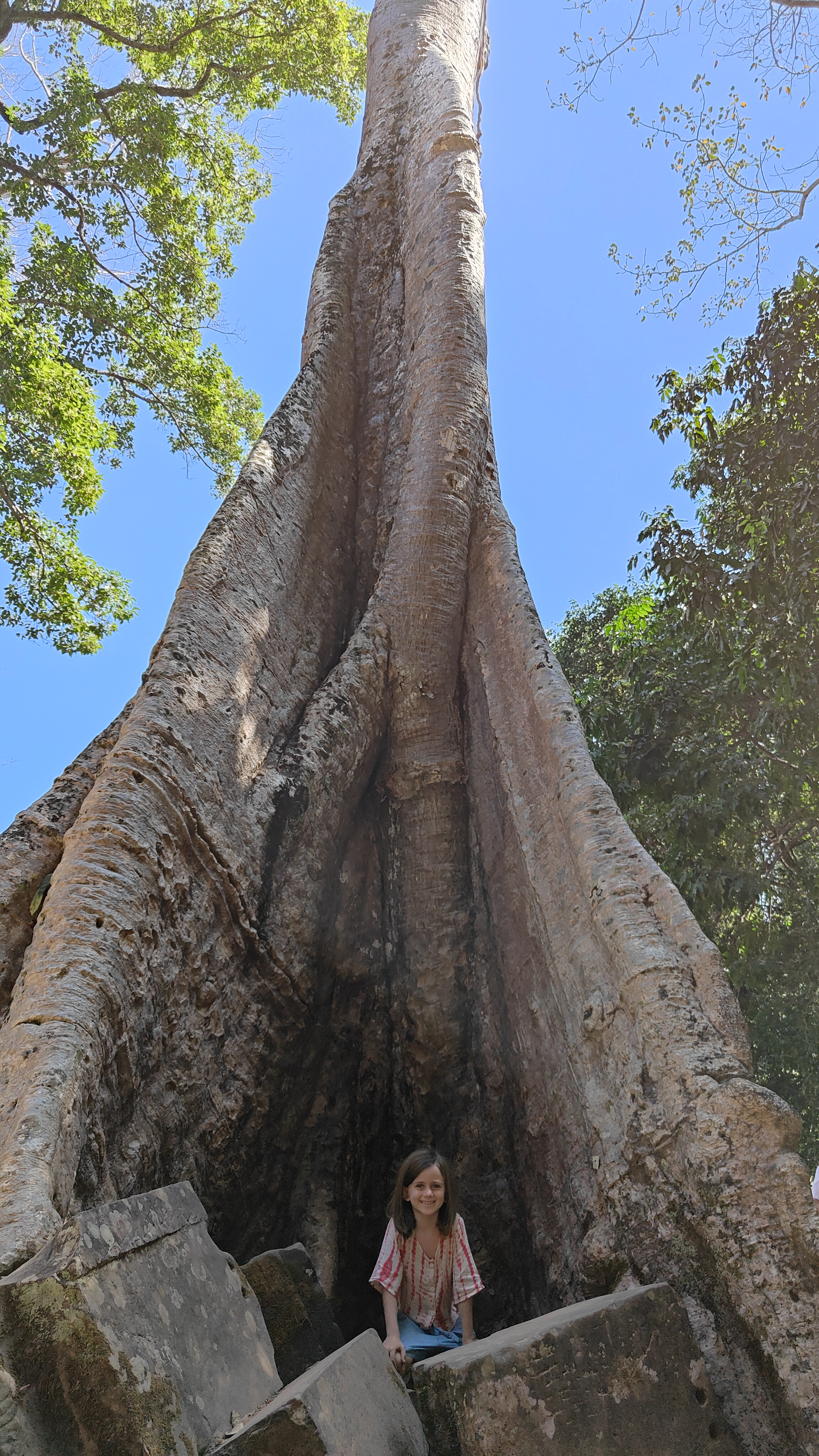 Ta prohm