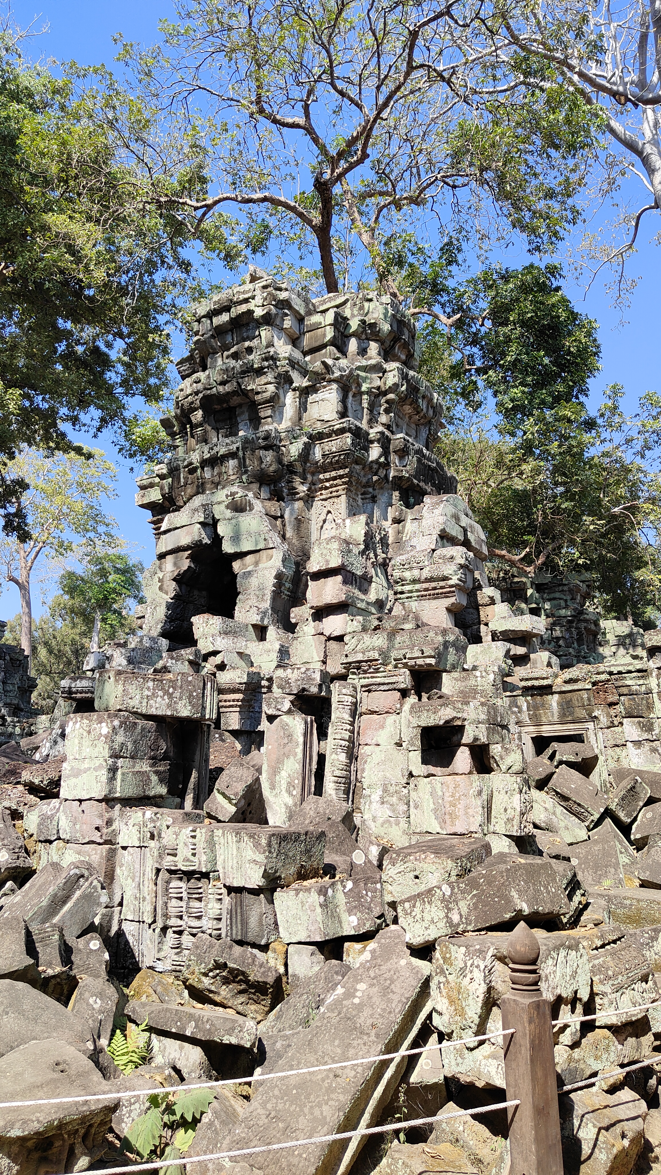 Ta prohm