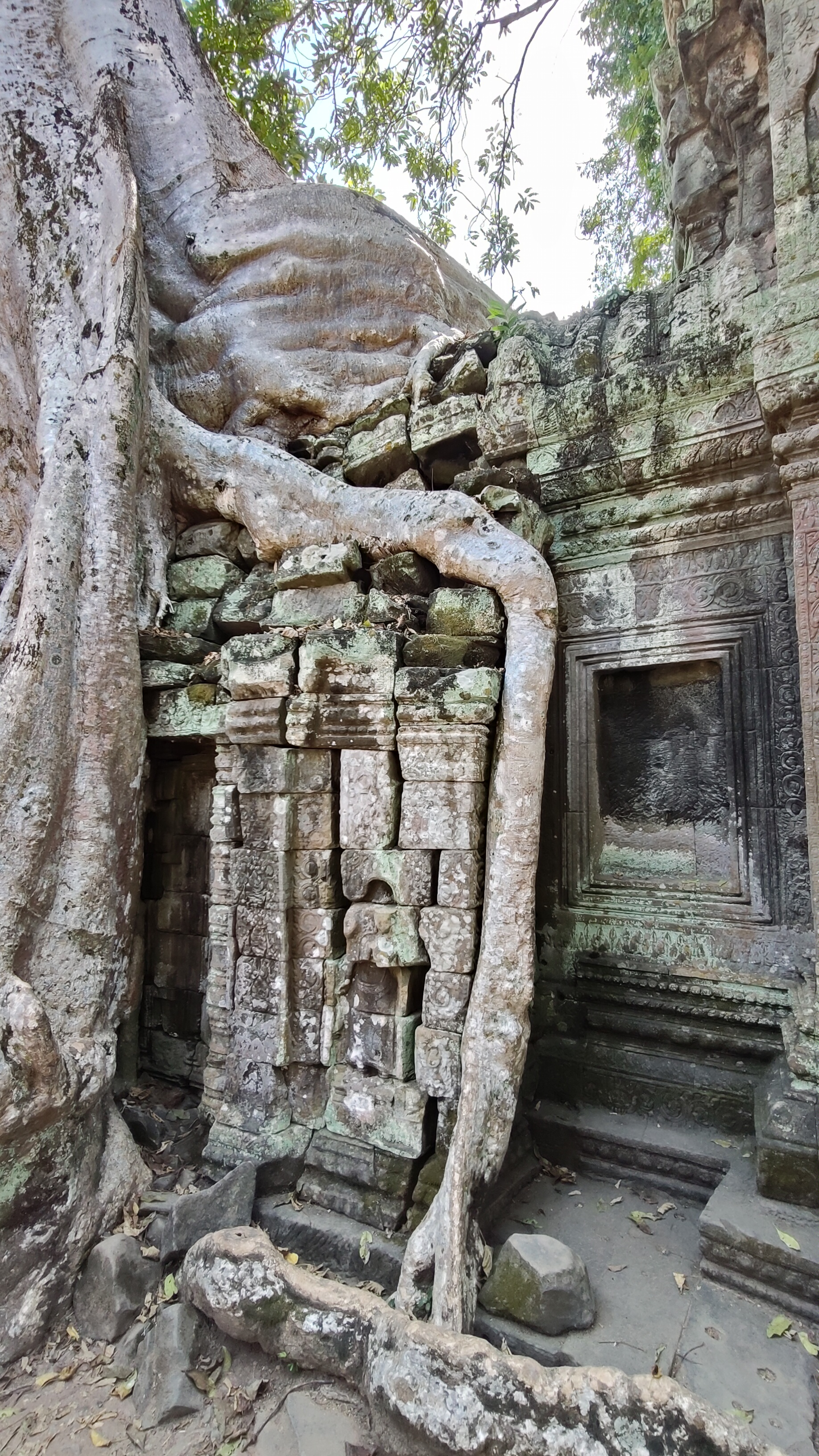 Ta prohm