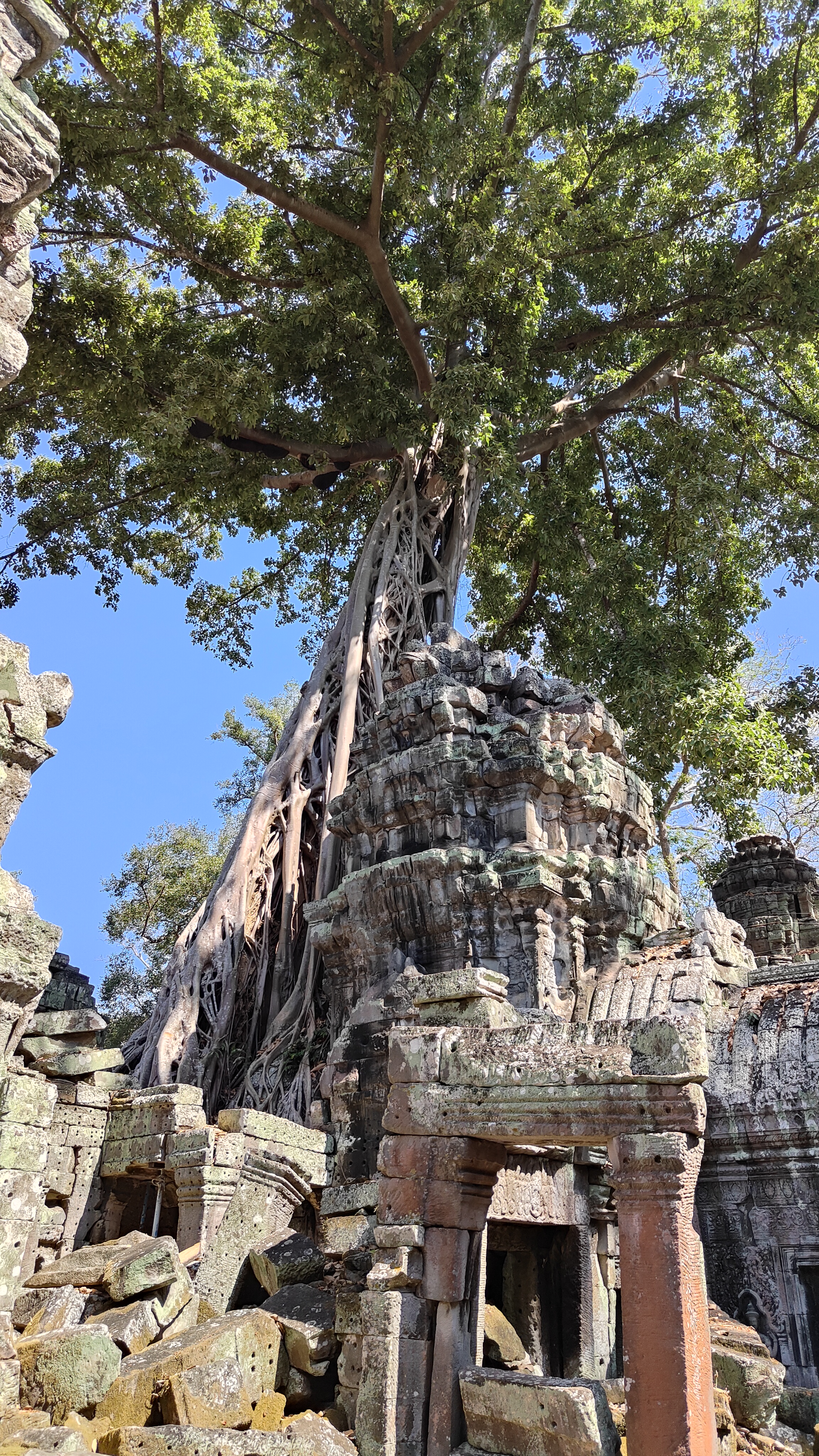 Ta prohm