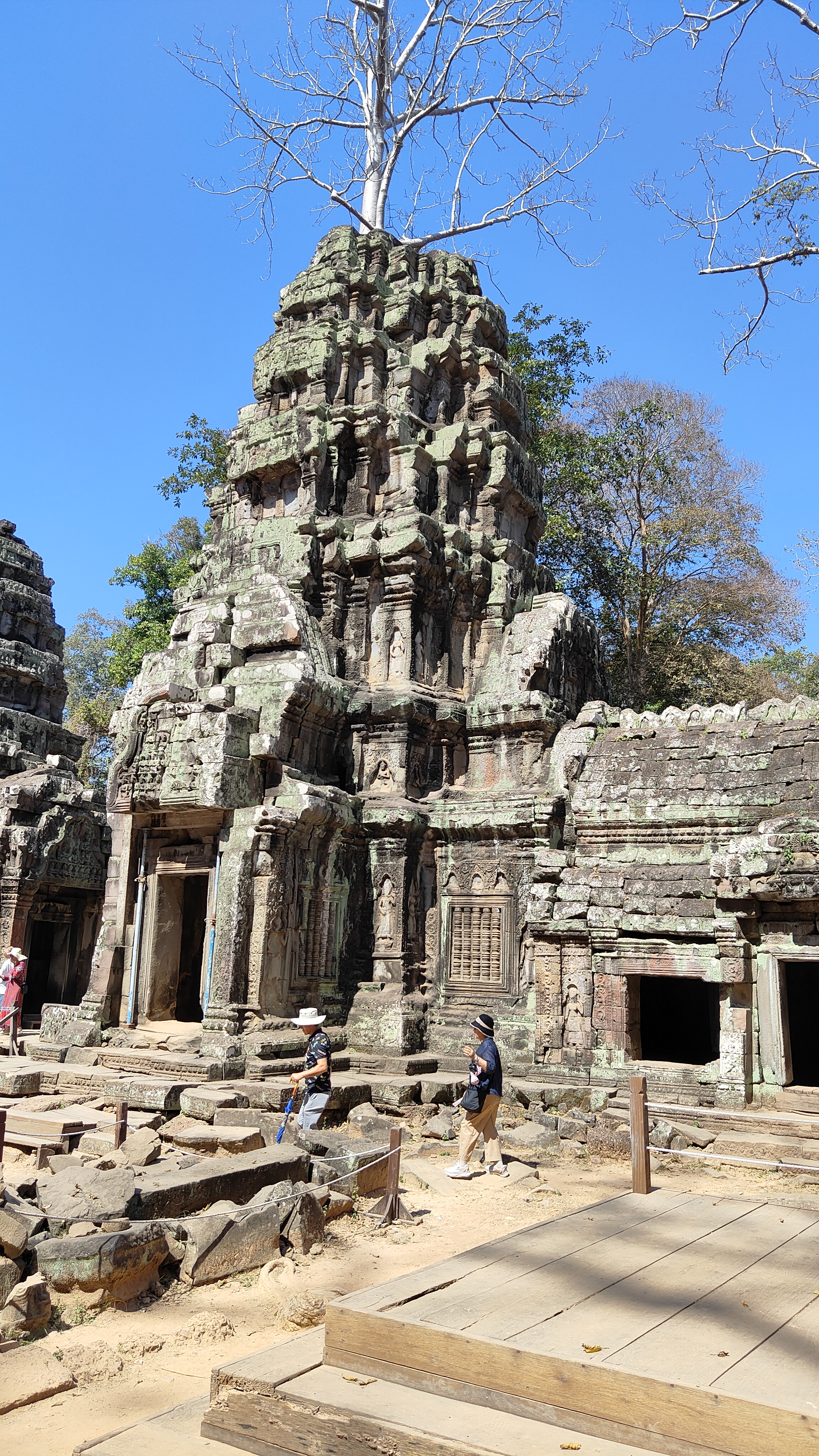 Ta prohm