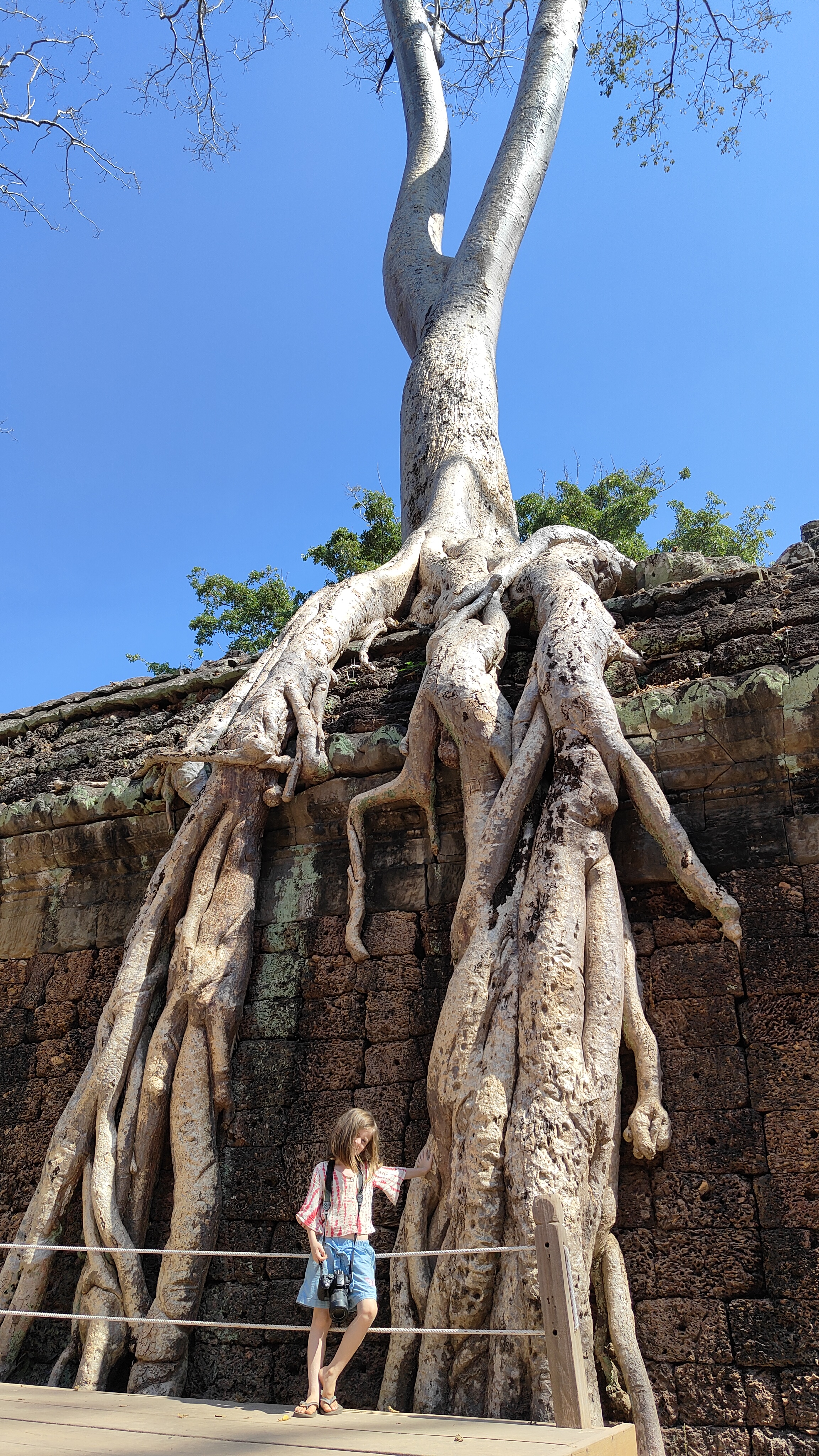 Ta prohm