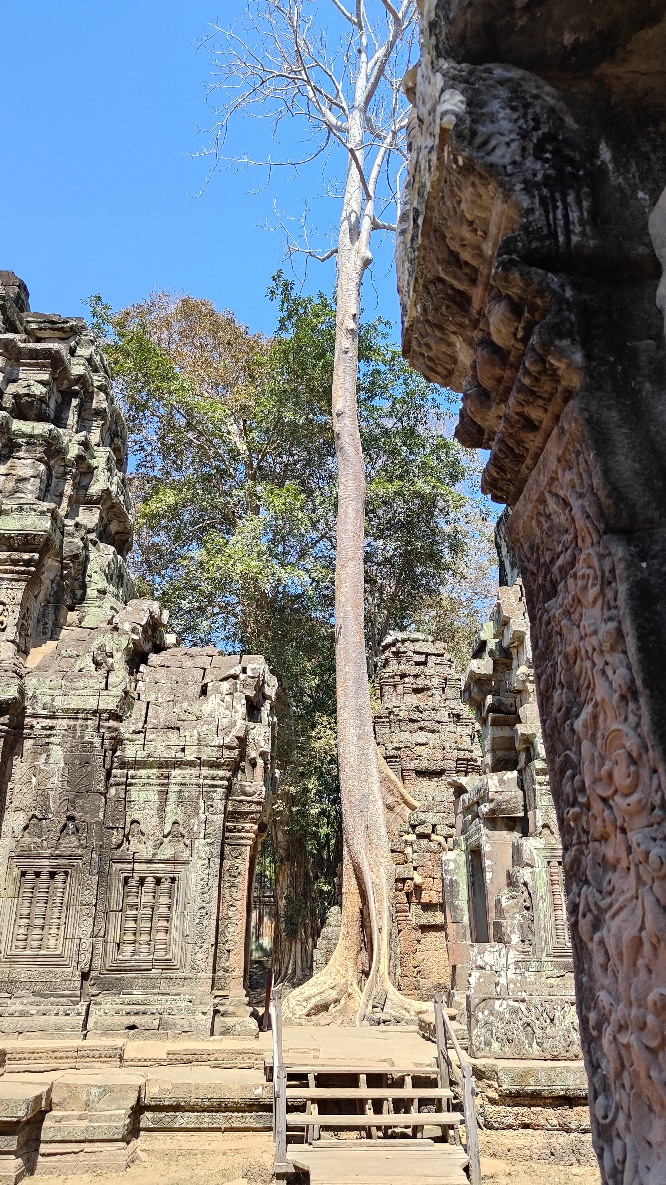 Ta prohm