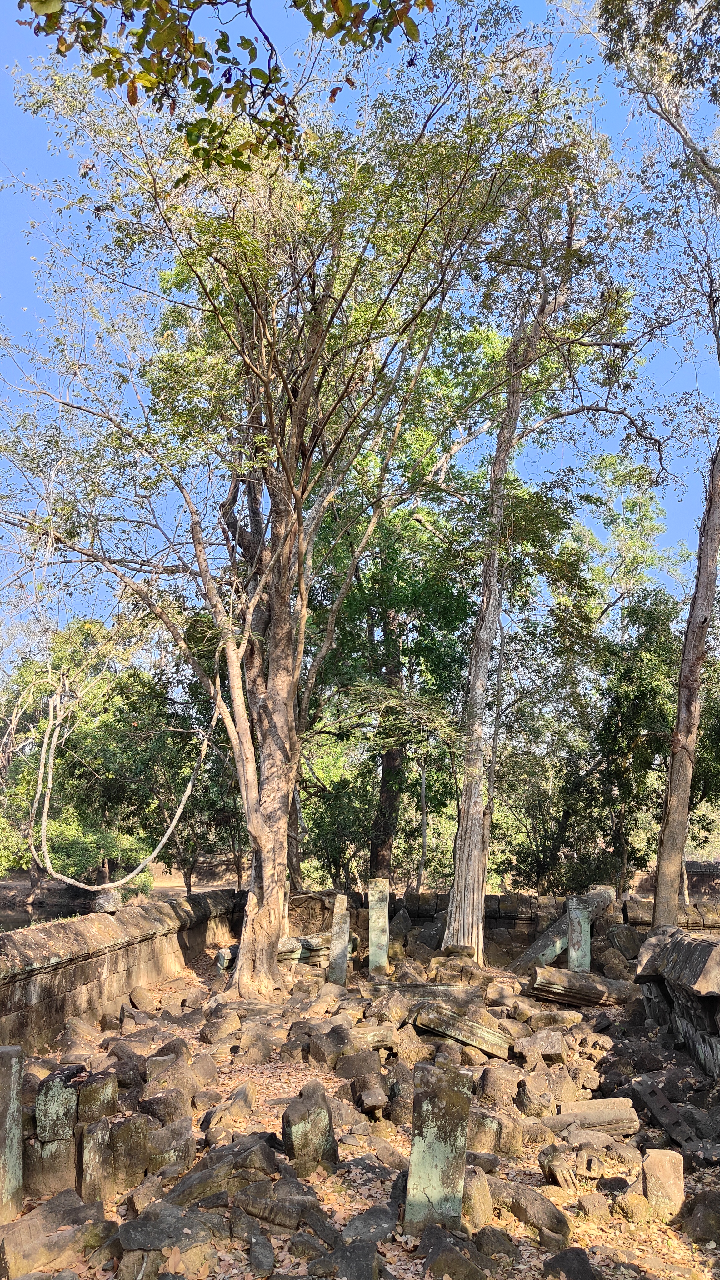 Koh Ker
